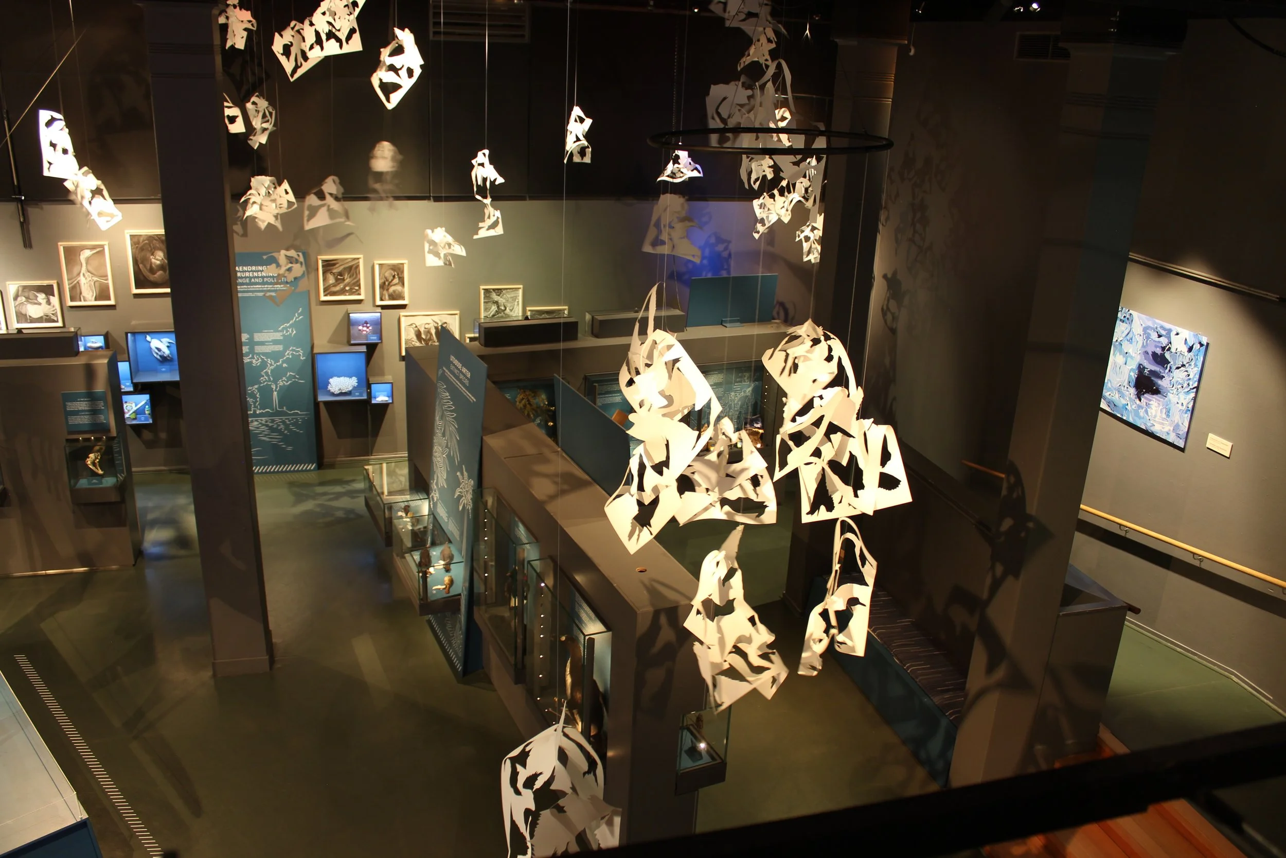 30-exhibition-contemporary art-Natural museum in Oslo-vigdisfjellheim-2026.JPG