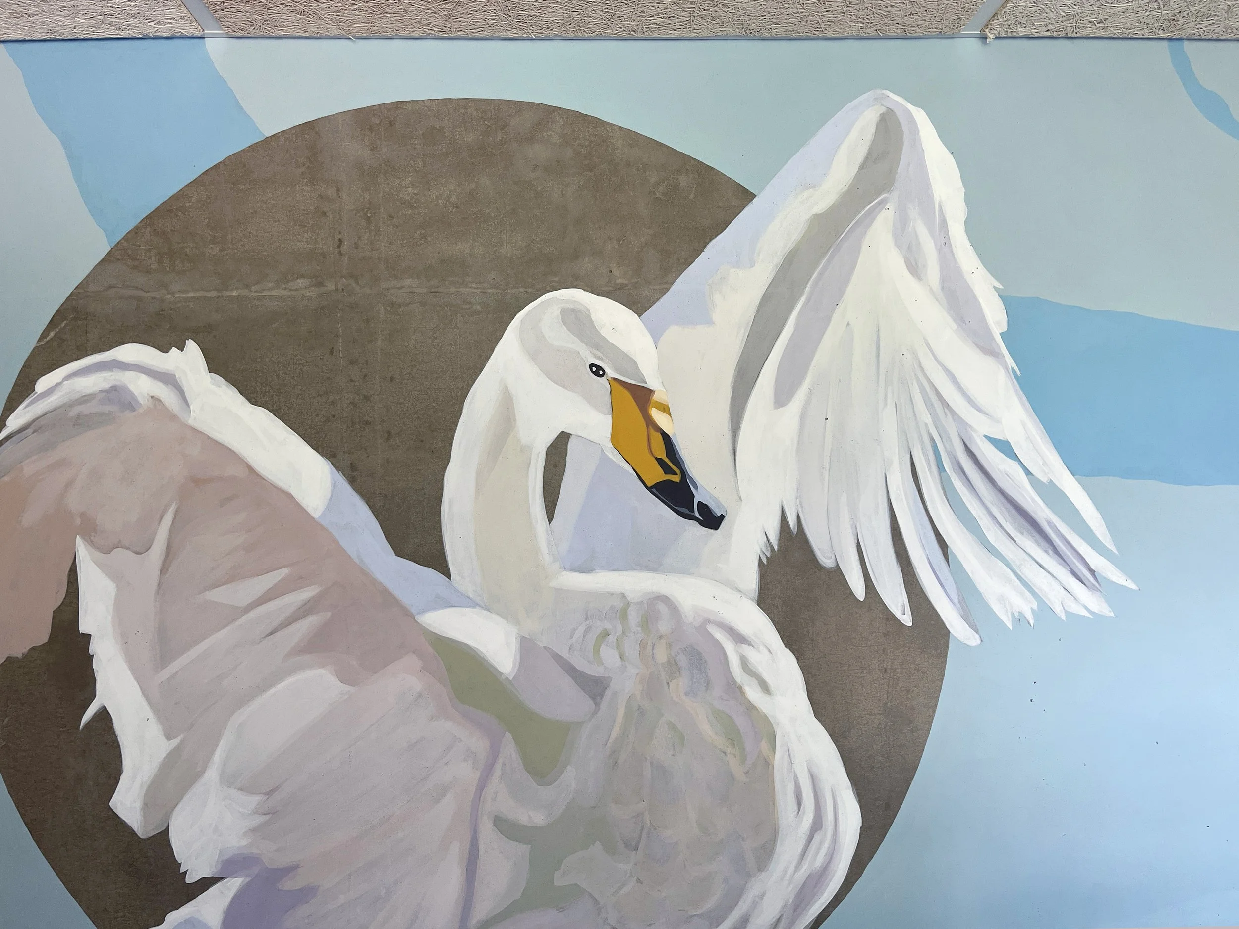 04_sangsvanen 01.JPG