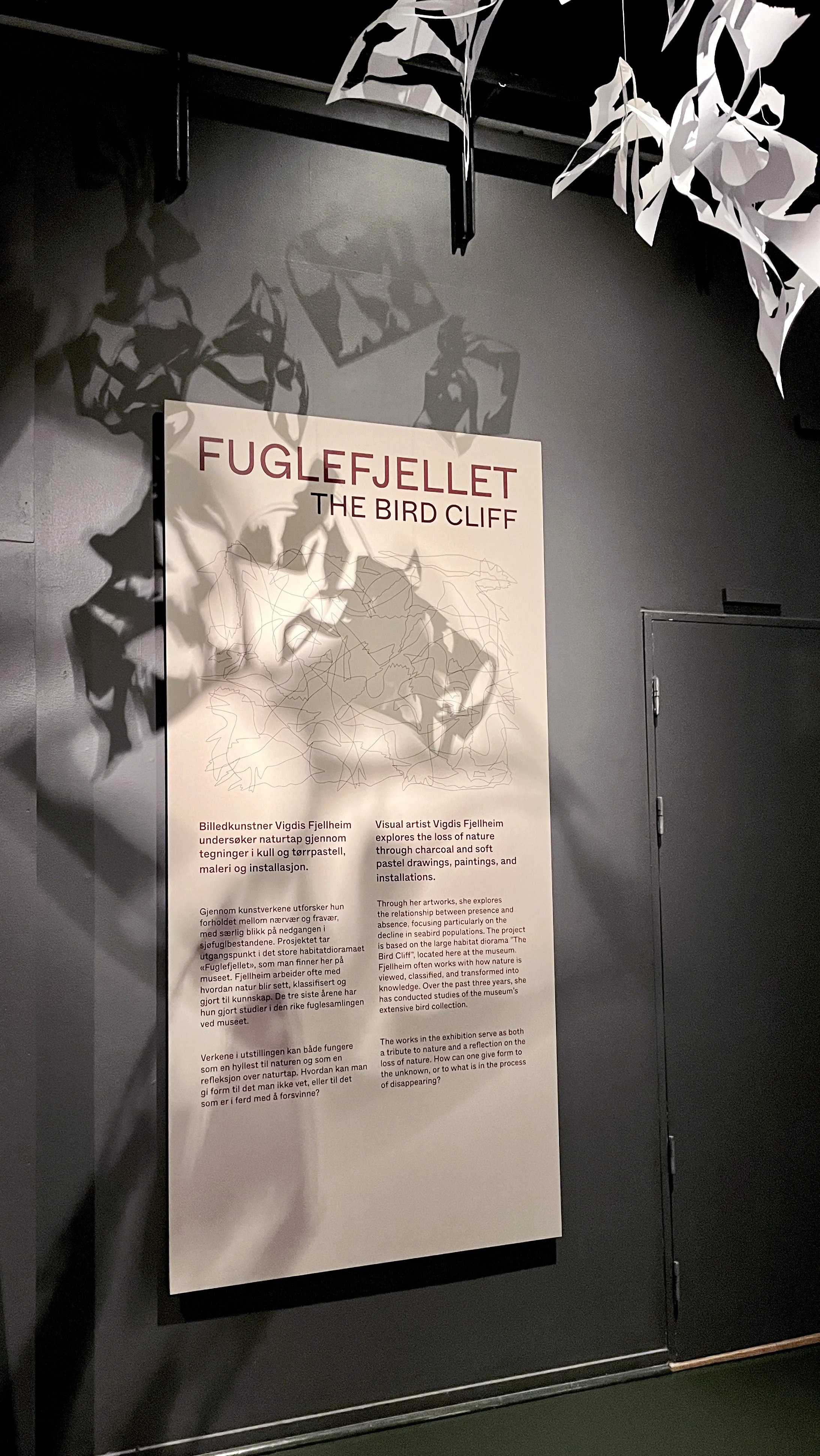 03-exhibition-contemporary art-Natural museum in Oslo-vigdisfjellheim-2026.JPG