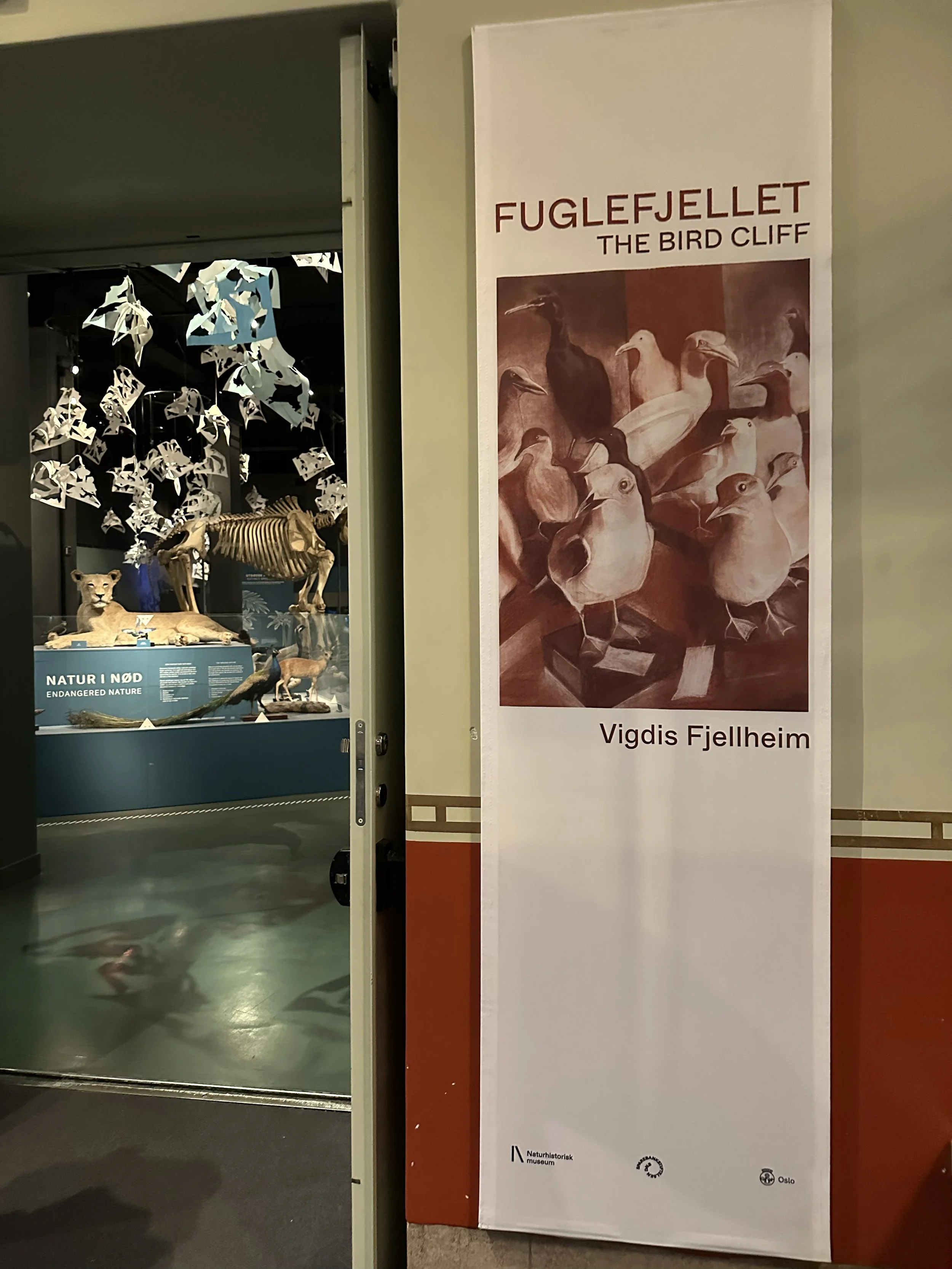03-01-exhibition-contemporary art-Naturhistorisk museum in Oslo-vigdisfjellheim_opening-2026.jpg