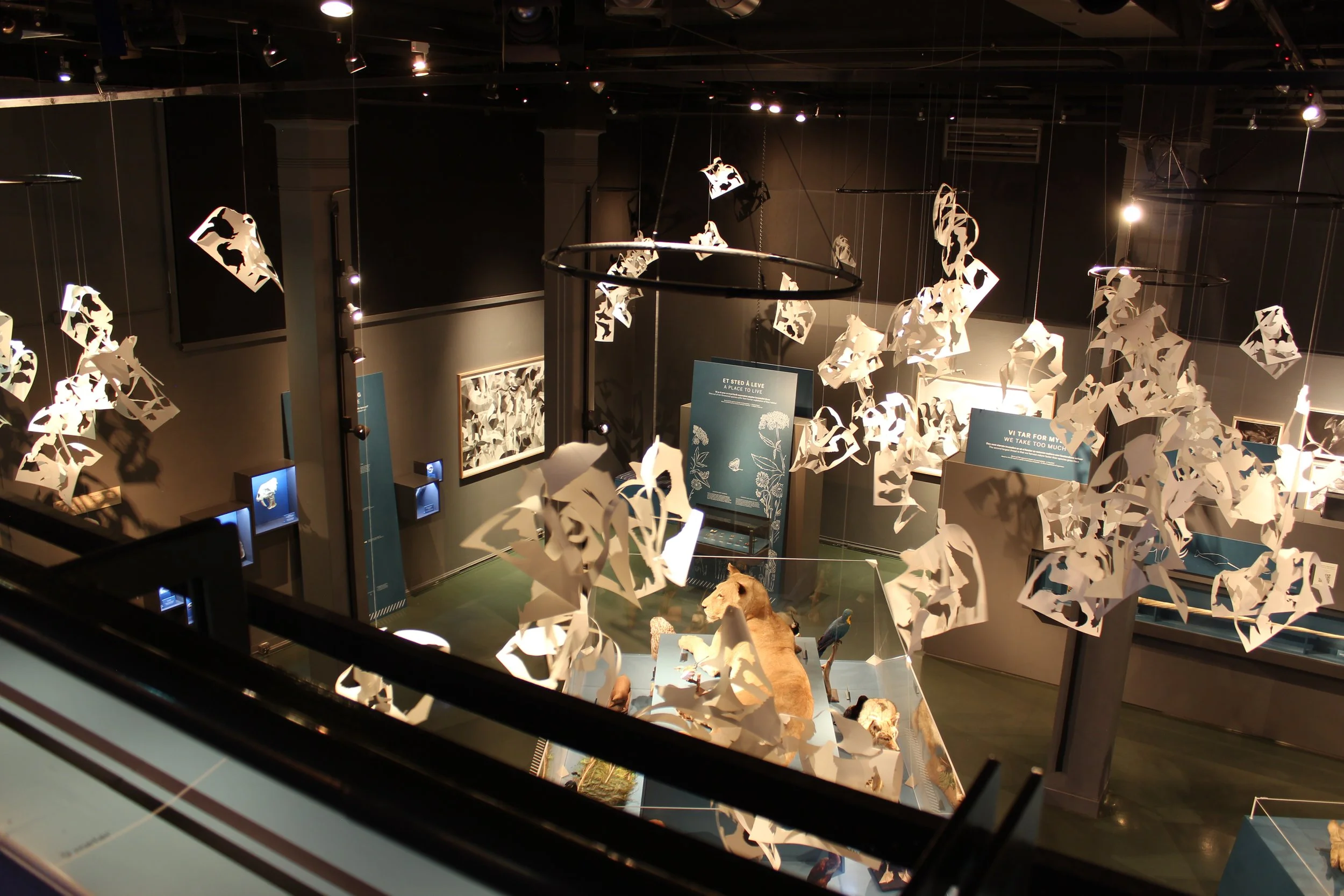 39-exhibition-contemporary art-Natural museum in Oslo-vigdisfjellheim-2026.JPG