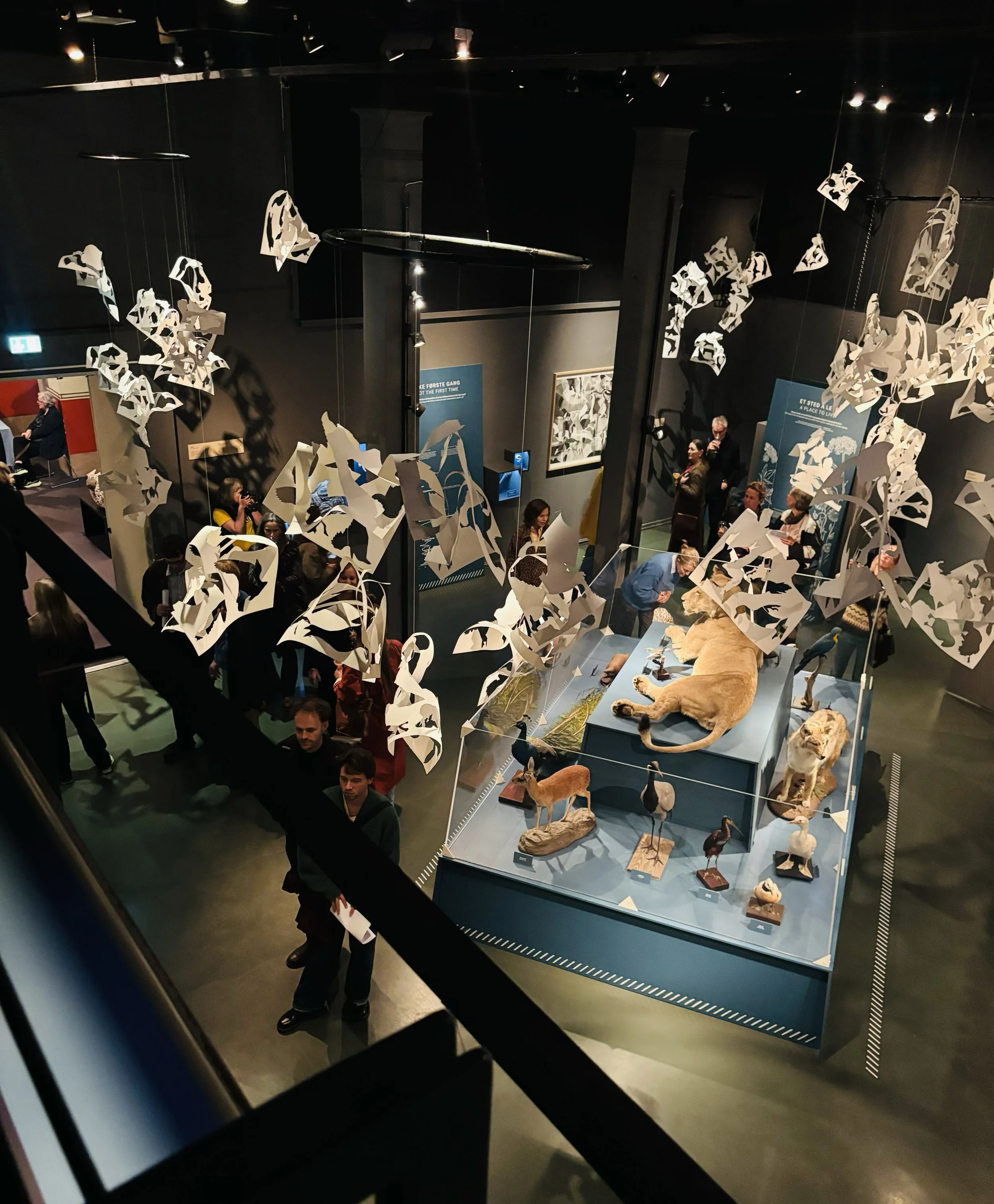 12-exhibition-contemporary art-Naturhistorisk museum in Oslo-vigdisfjellheim_opening-2026..jpg