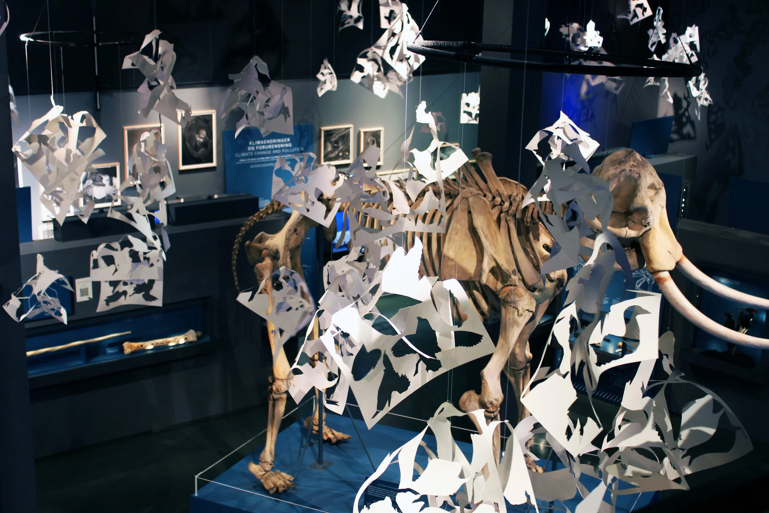 17-exhibition-contemporary art-Natural museum in Oslo-vigdisfjellheim-2026.jpg