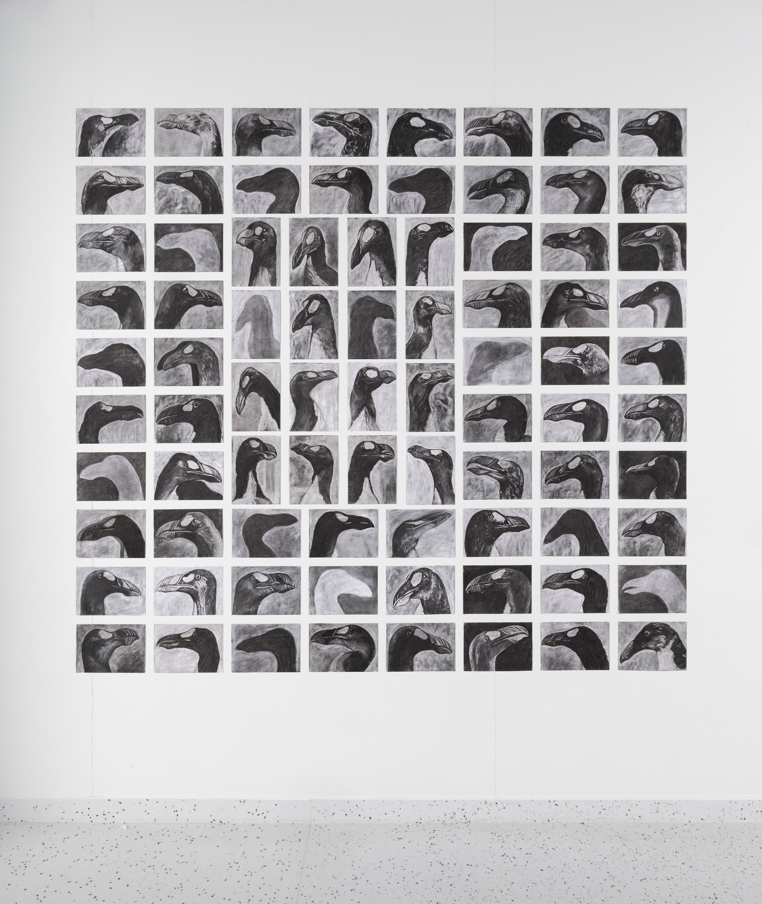 20_The 80 Great Auks.jpg