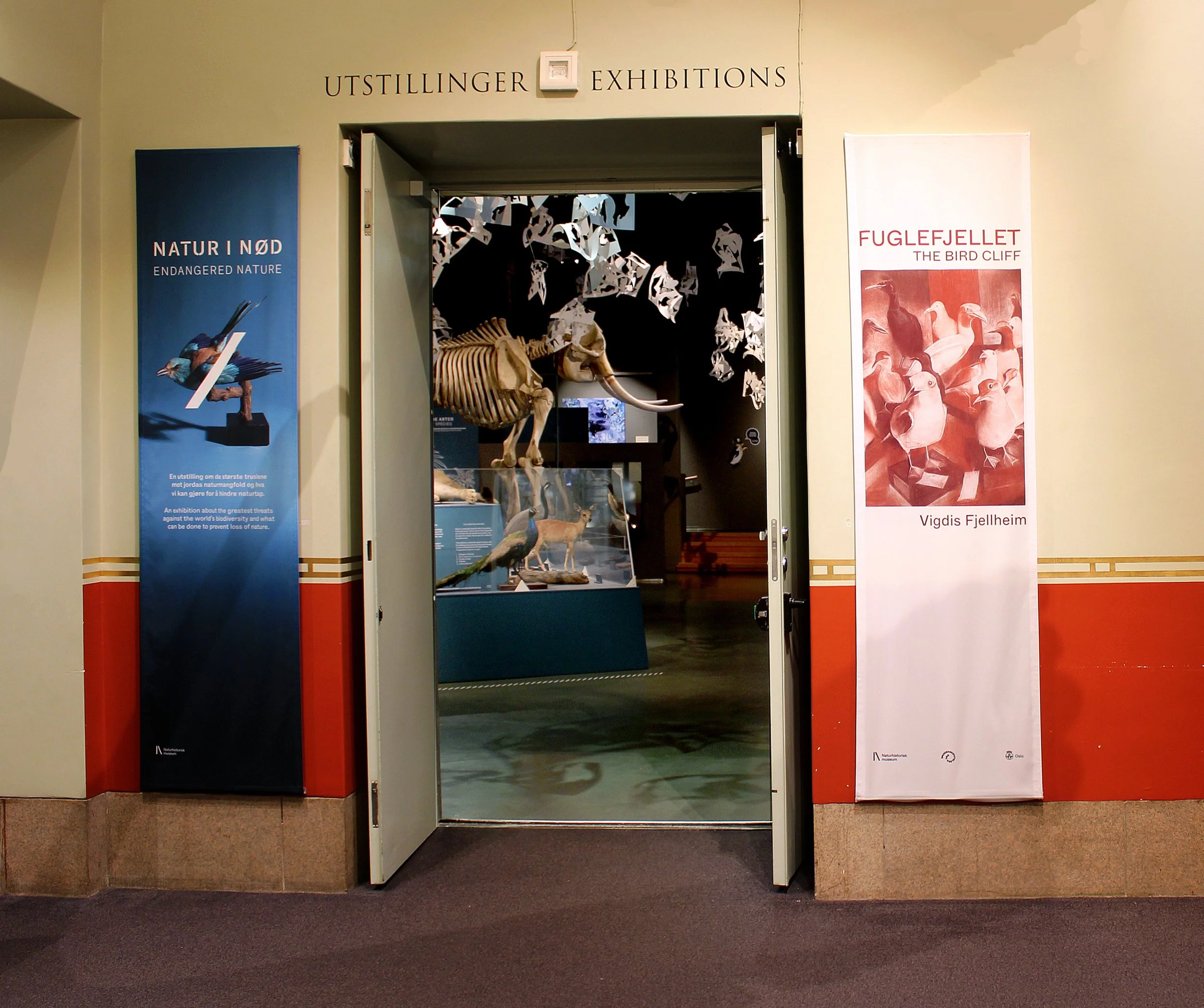 01-exhibition-contemporary art-Natural museum in Oslo-vigdisfjellheim-2026.jpg