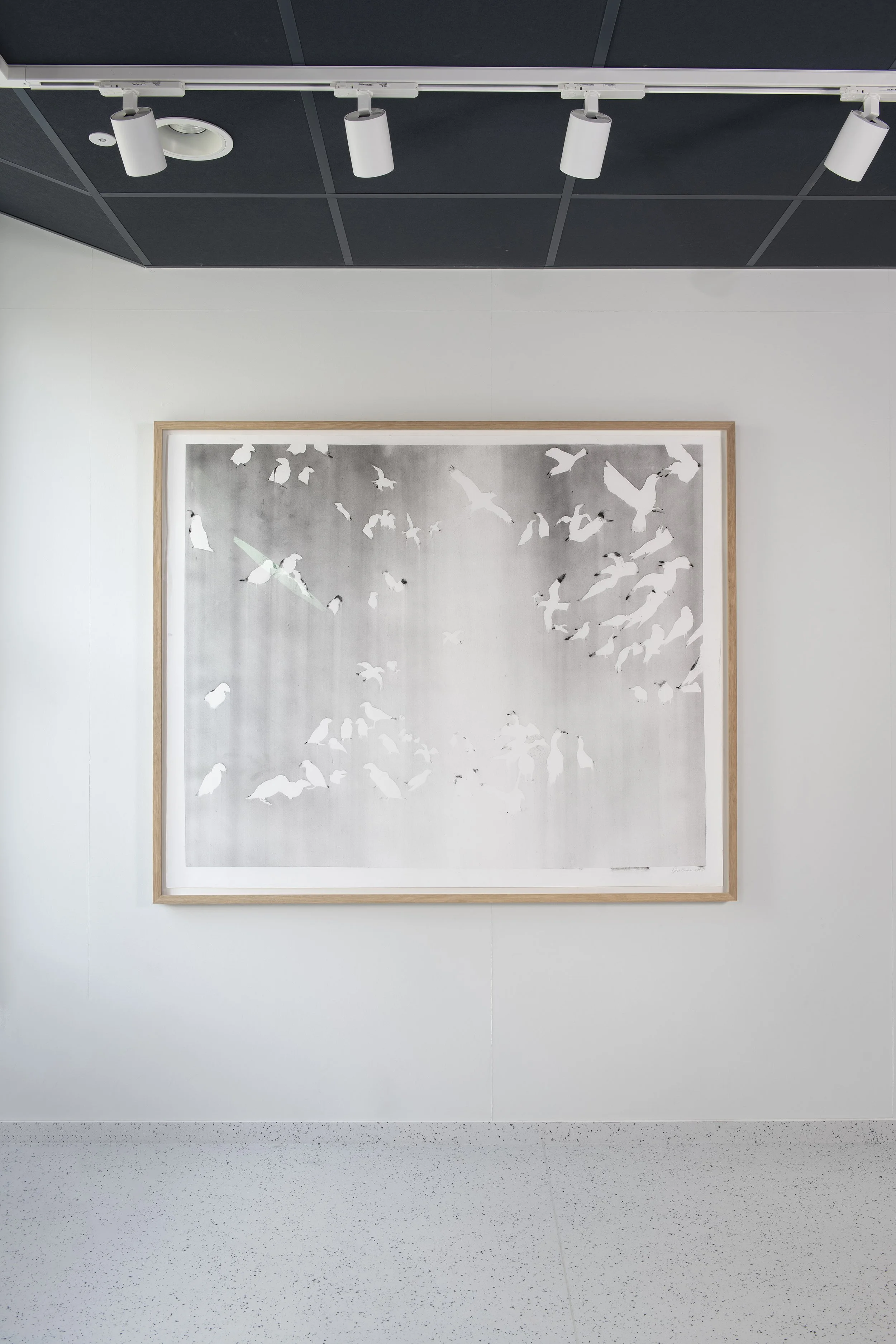 07_Fuglerfjellet_i kontekst.jpg