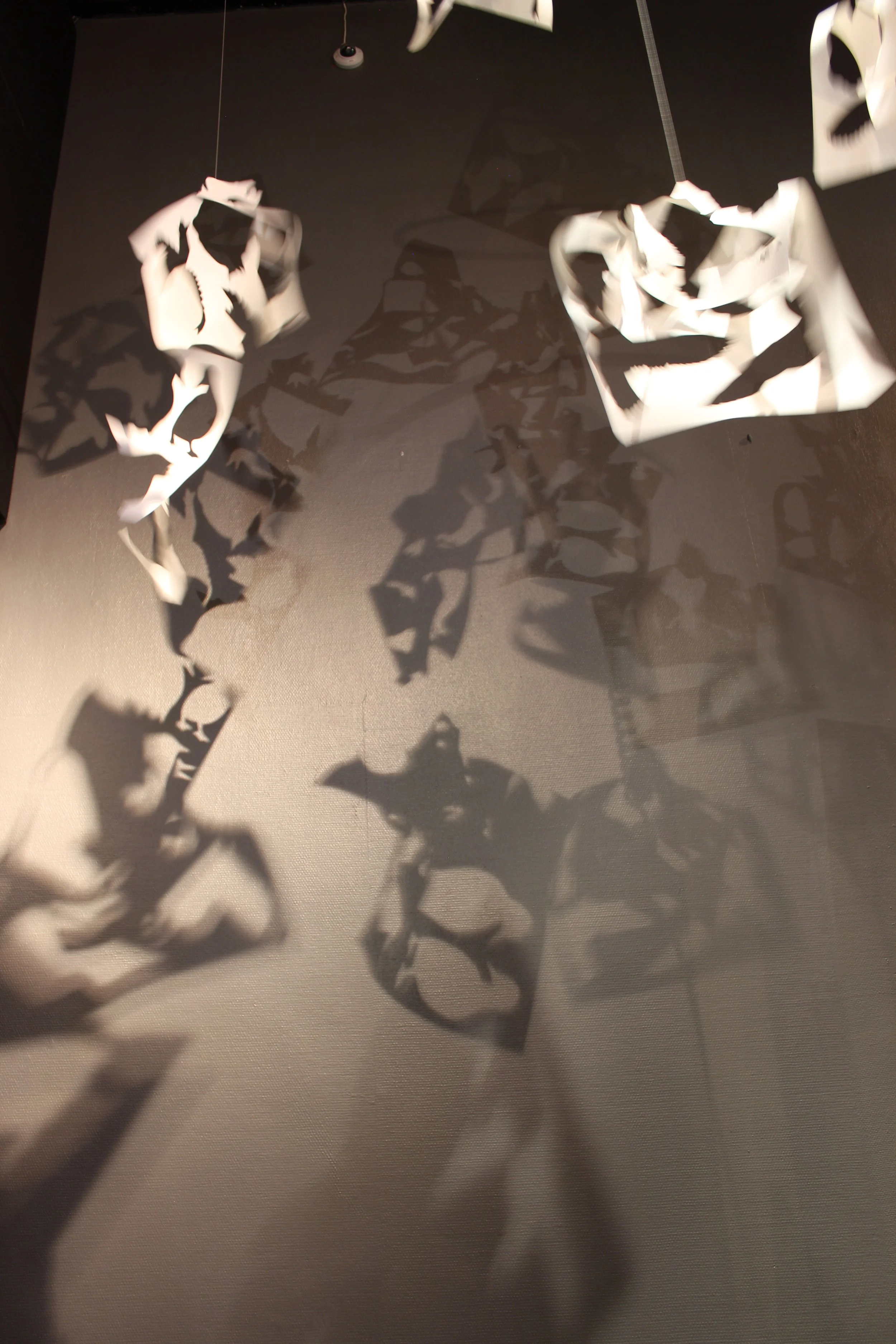 38-01-exhibition-contemporary art-Natural museum in Oslo-vigdisfjellheim-2026.JPG