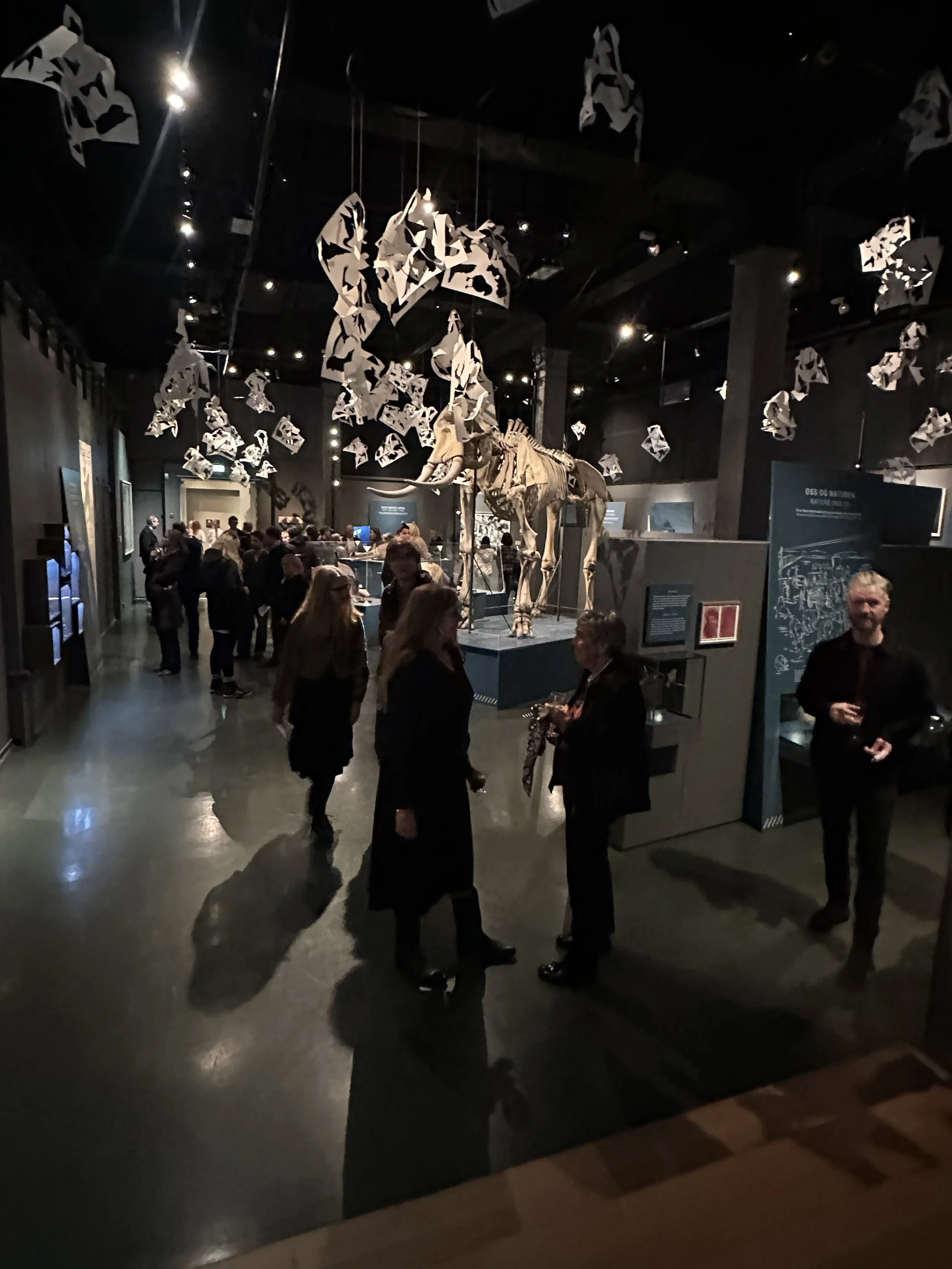 08-exhibition-contemporary art-Naturhistorisk museum in Oslo-vigdisfjellheim_opening-2026.jpg