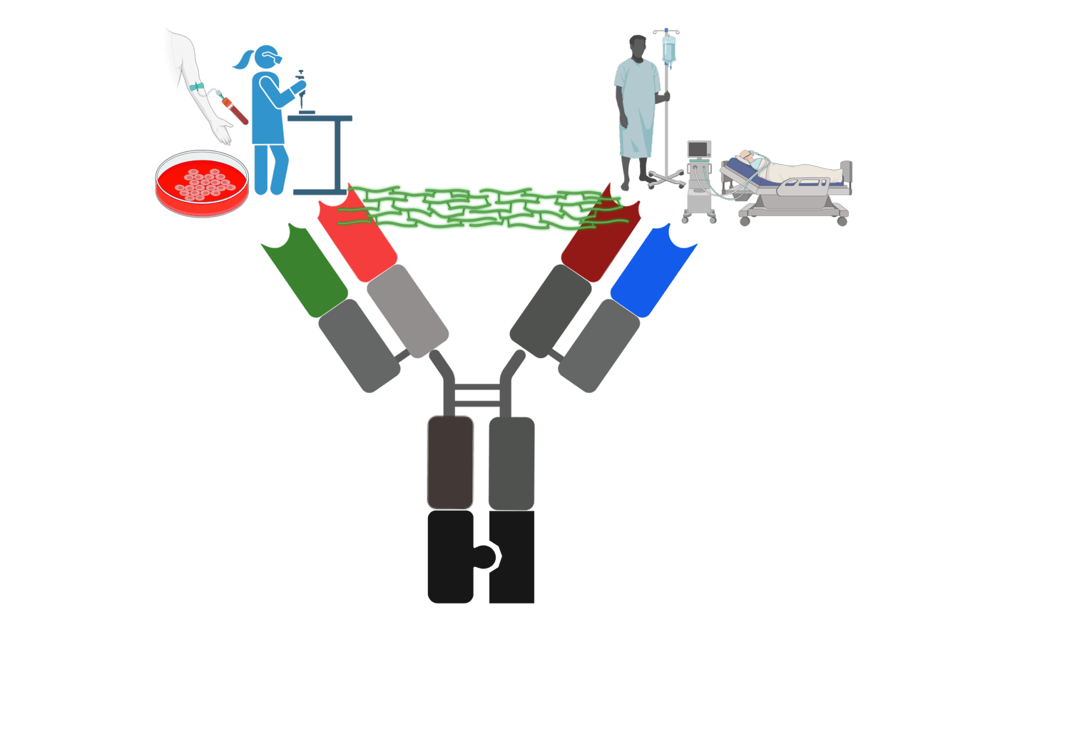 Elahi Lab