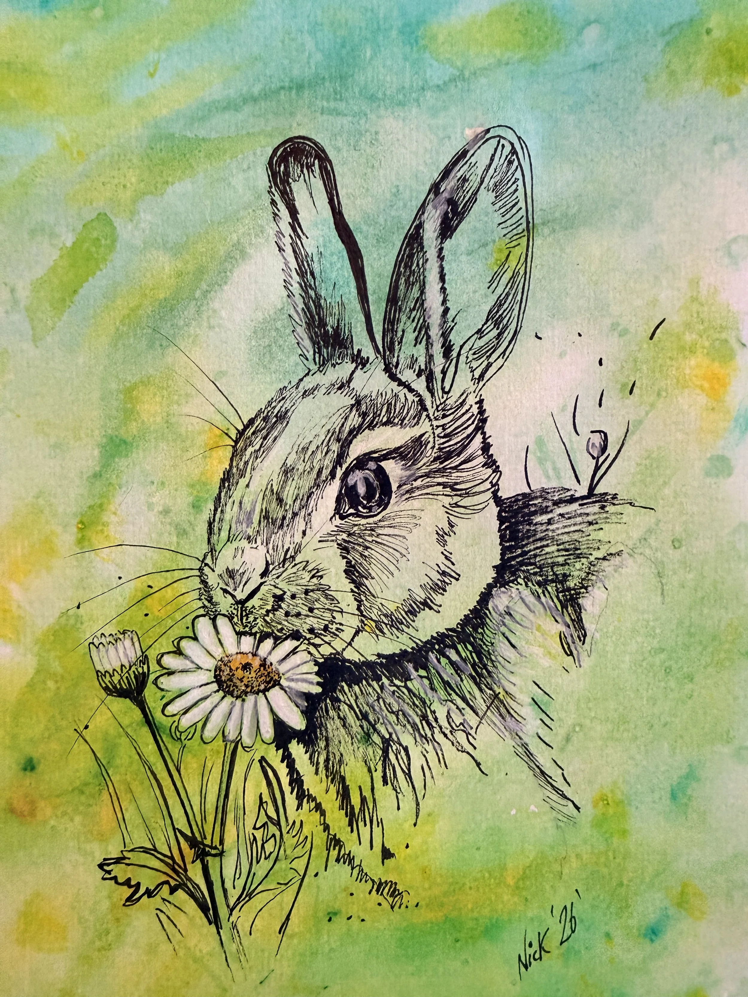  Lola the rabbit eating a daisy