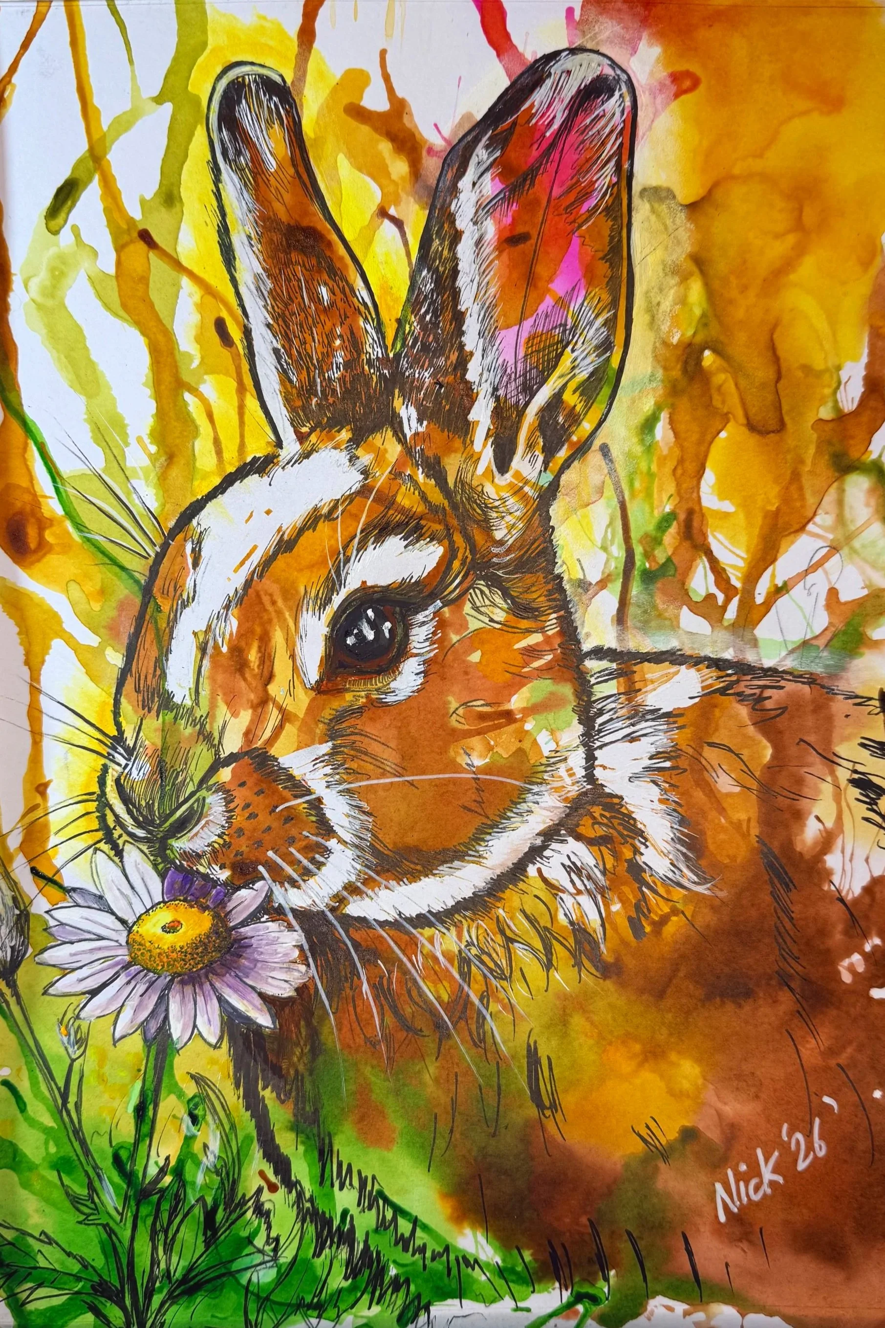 Daisy the Rabit 