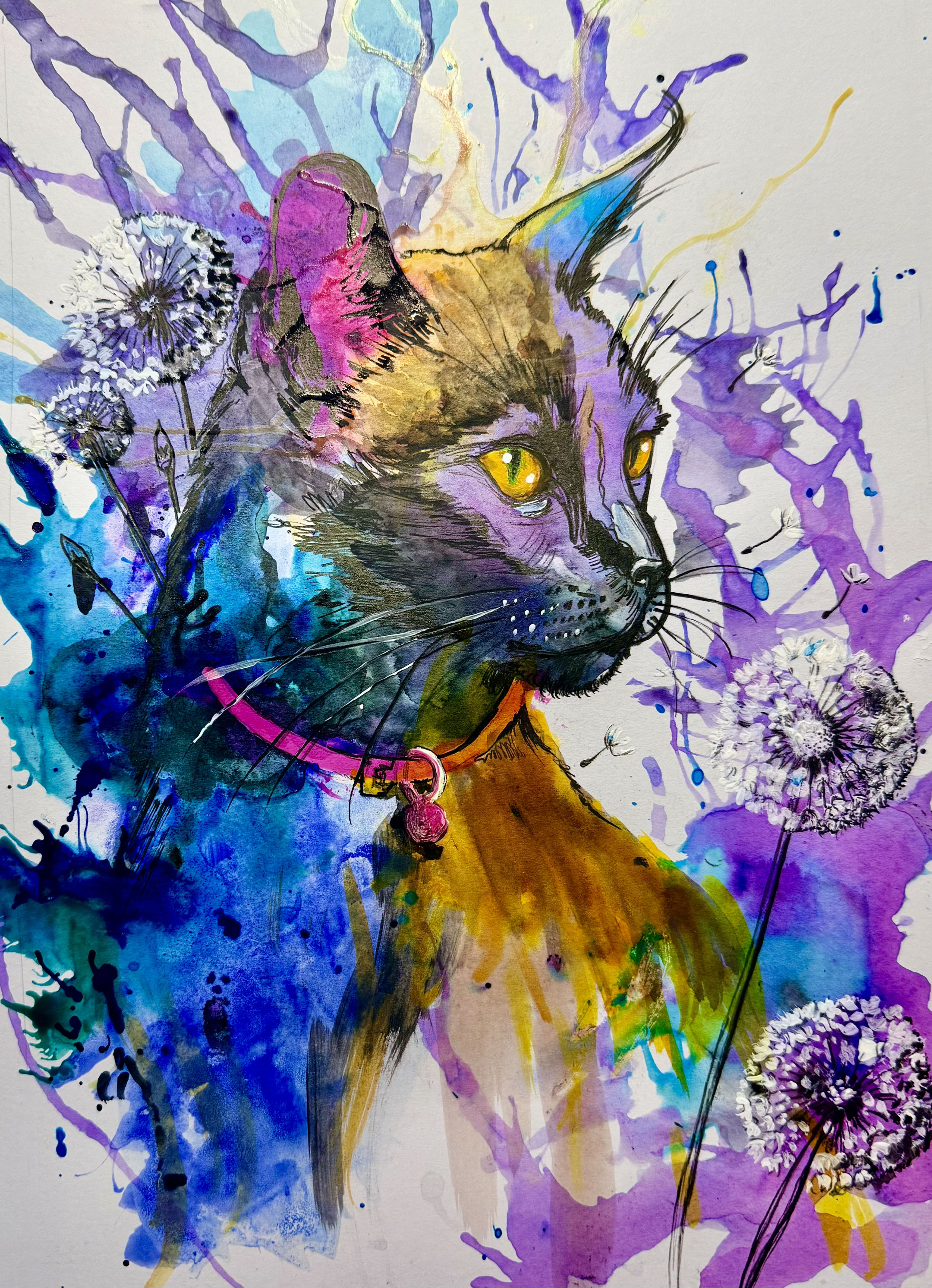 Balck Cat