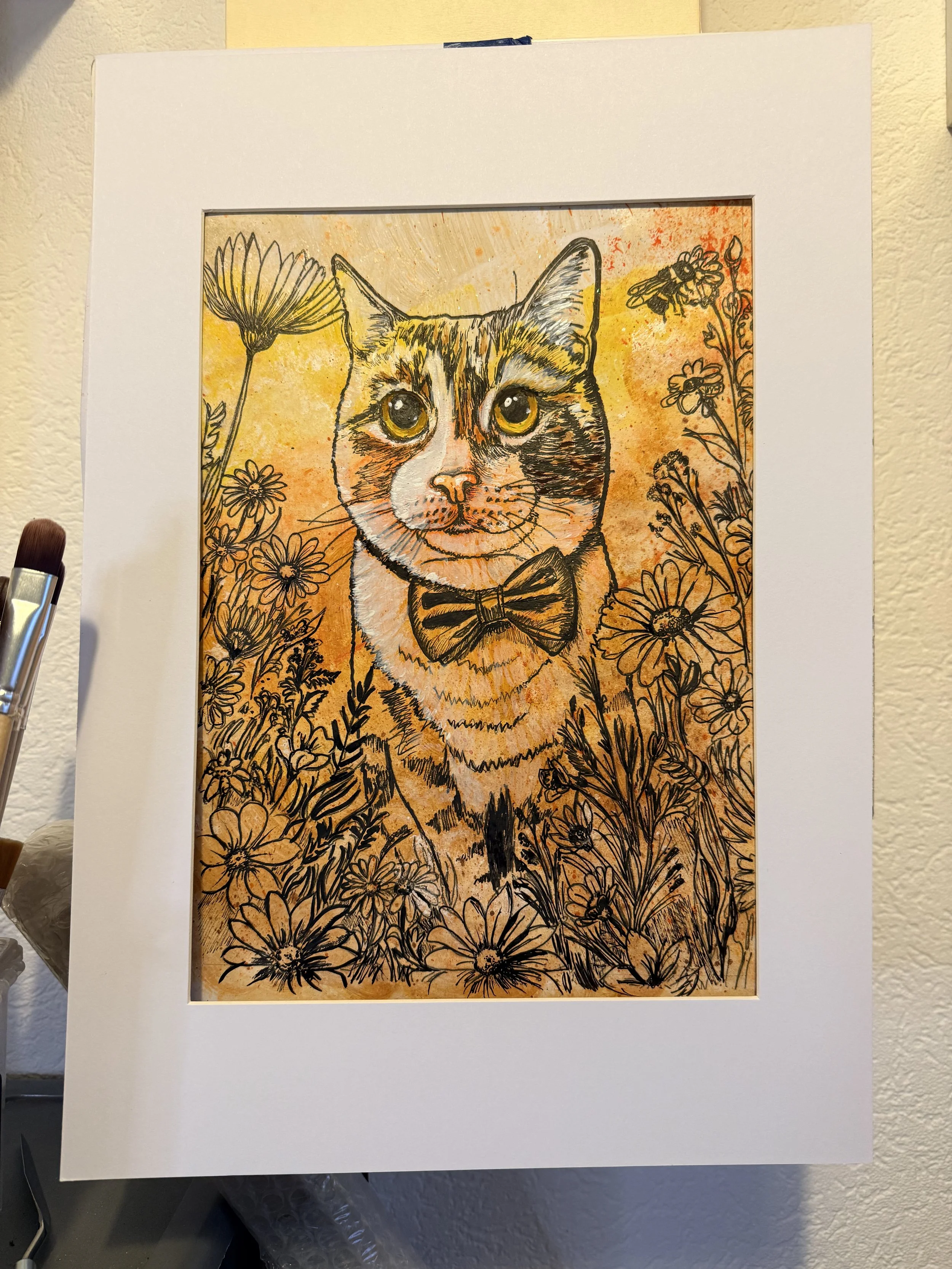 Macy the Cat 