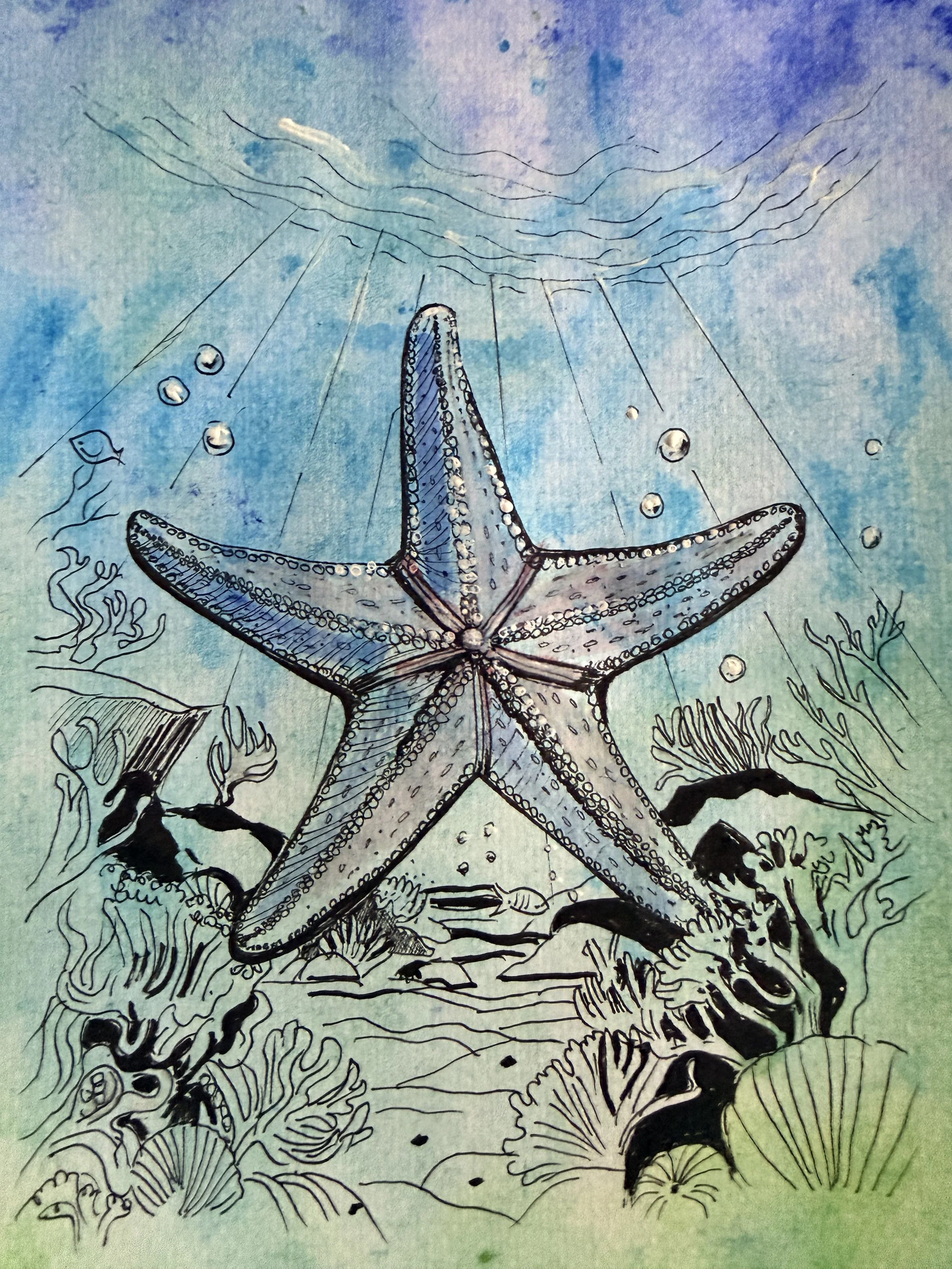  starfish at the bottom of the sea