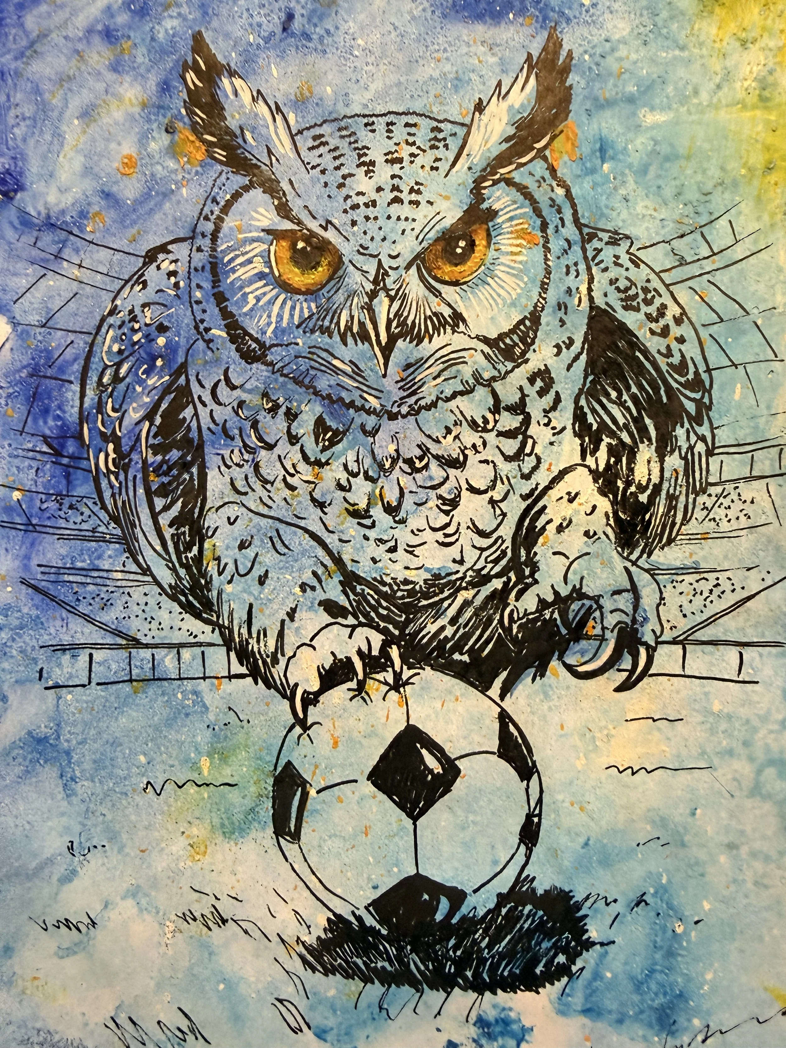 Owl playing football