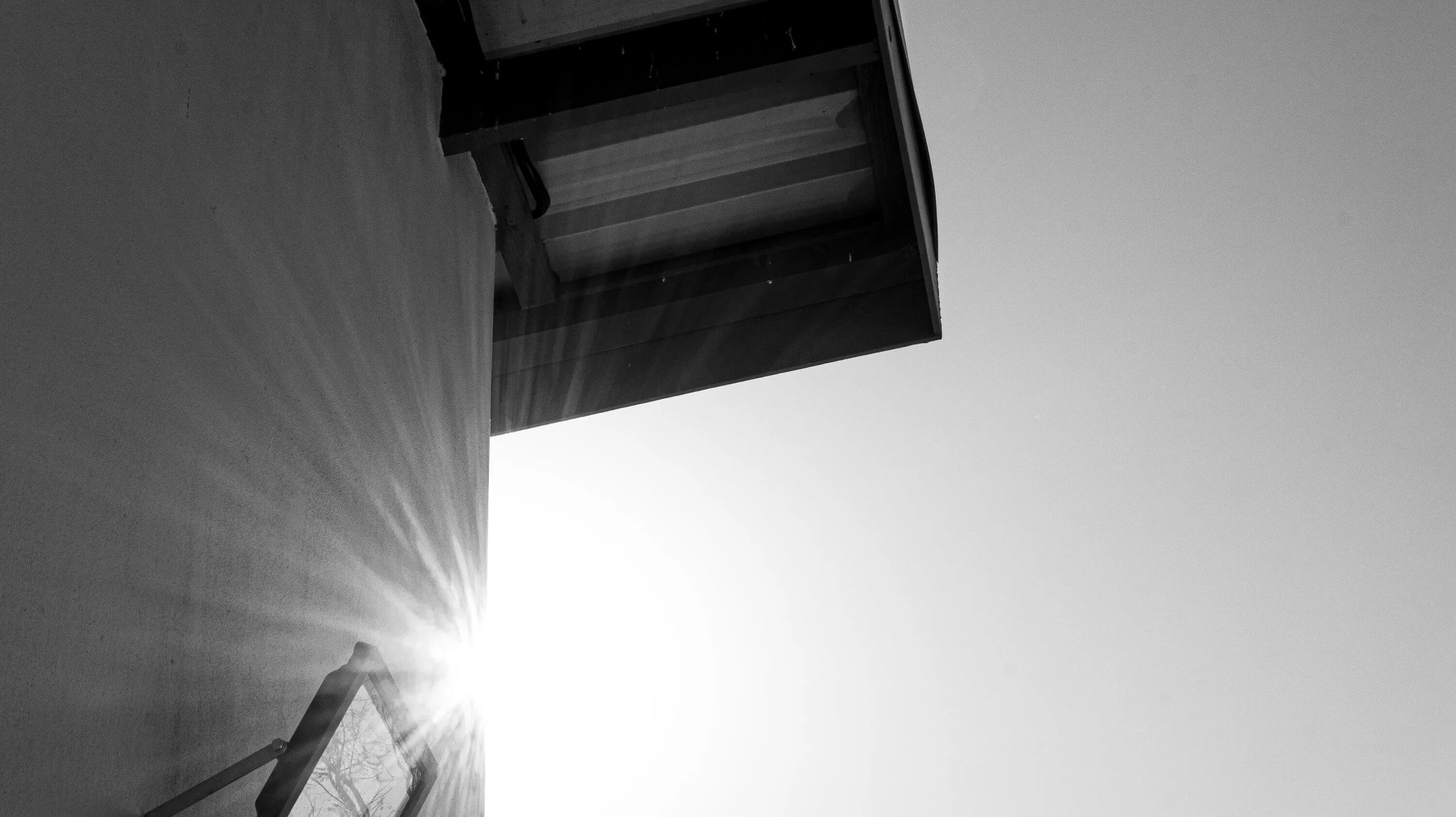 B & W 1.jpg