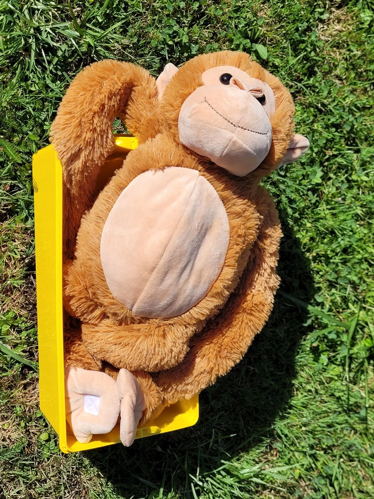 Becoming an End-of-Life Companion, Part 14: A Day at the Hospice