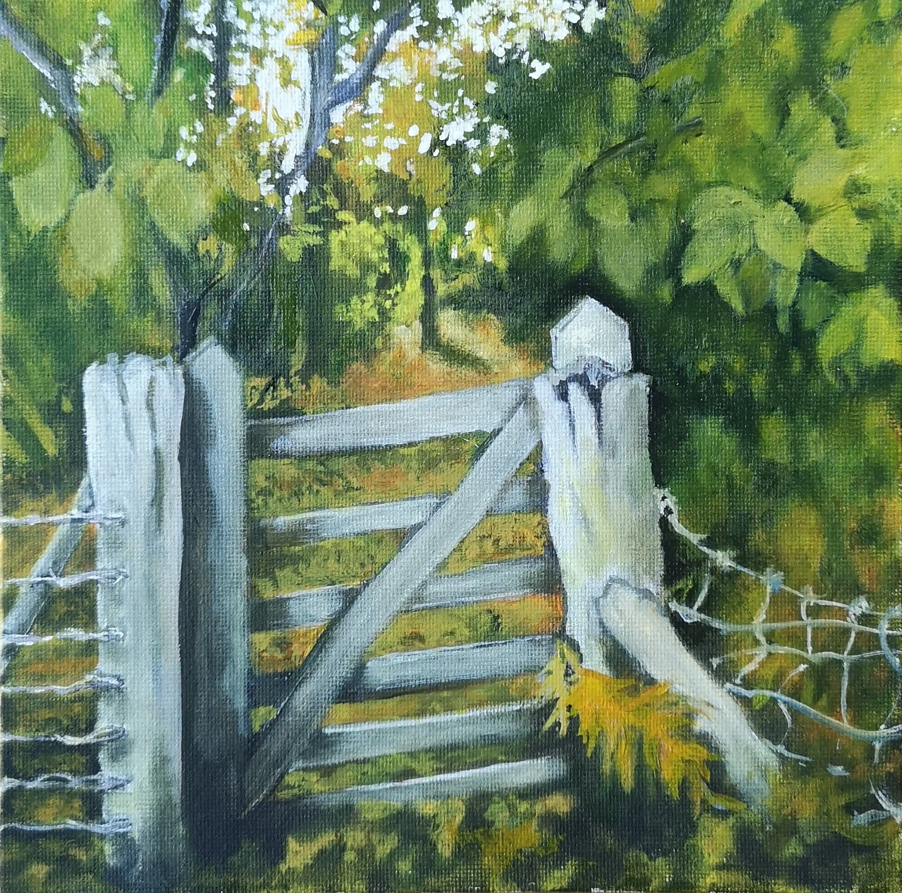 GATEWAY TO AUTUMN, 2025
Oil on board 20 x 20 cms
£350