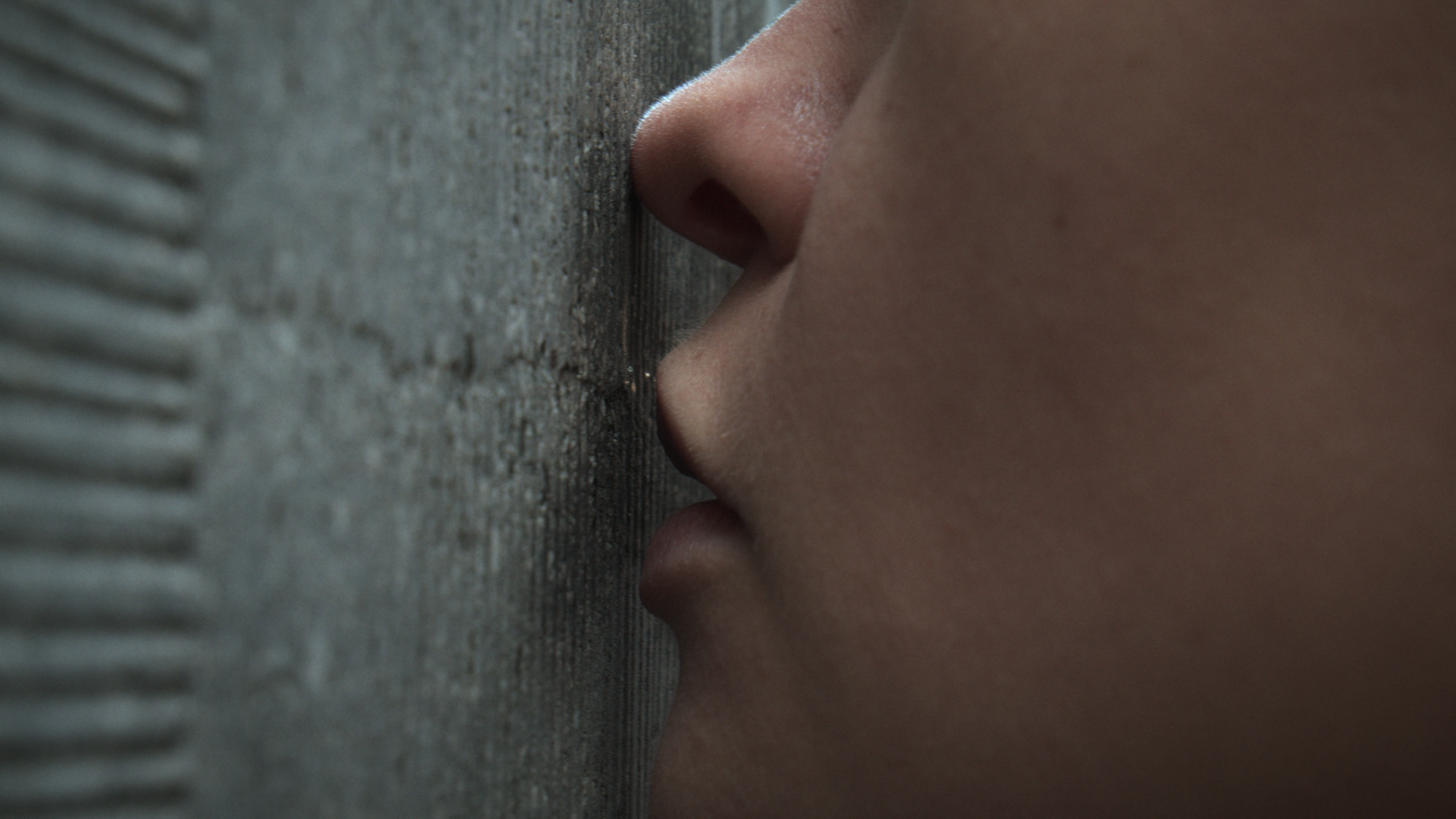 Artemys par Mar Szydlowska et Ana Lugmeier