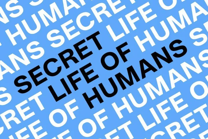 Secret Life of Humans   (12 minutes of flashes)