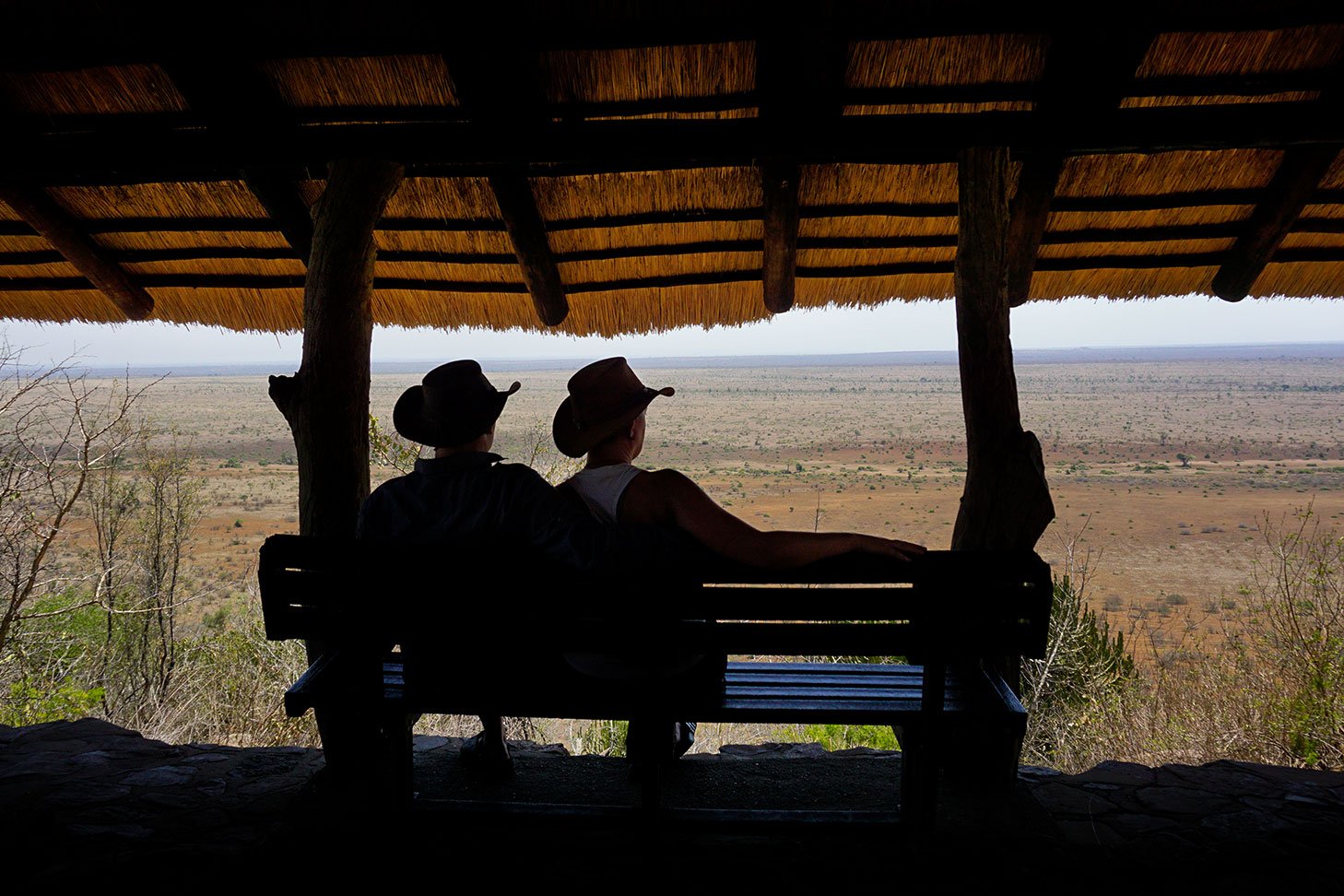 Kruger park