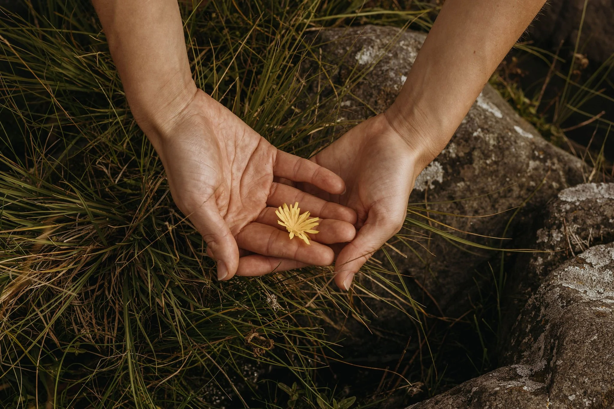 Holistinen terapia on elämänmittainen matka