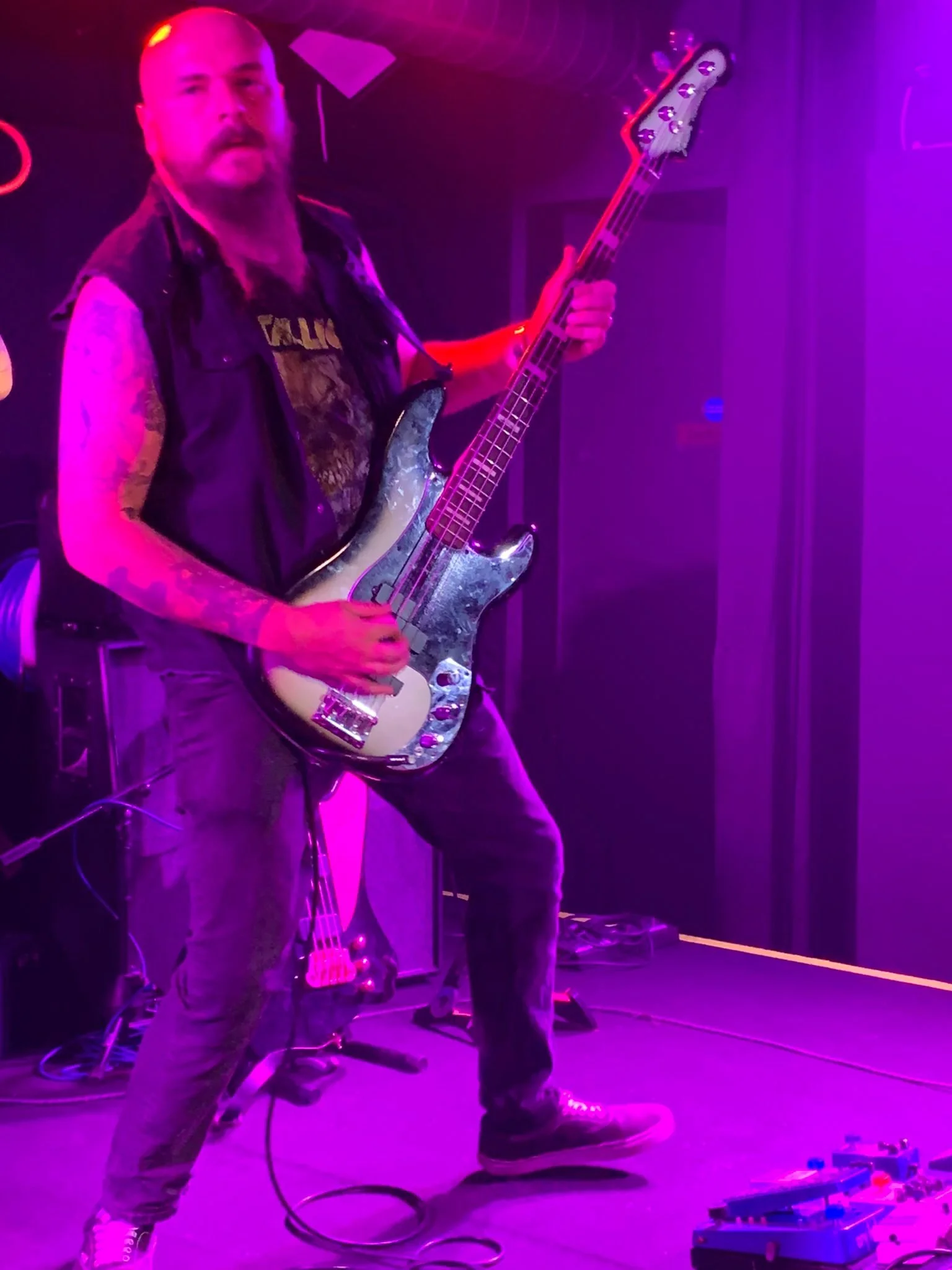 Cart and Horses Jamie.jpg