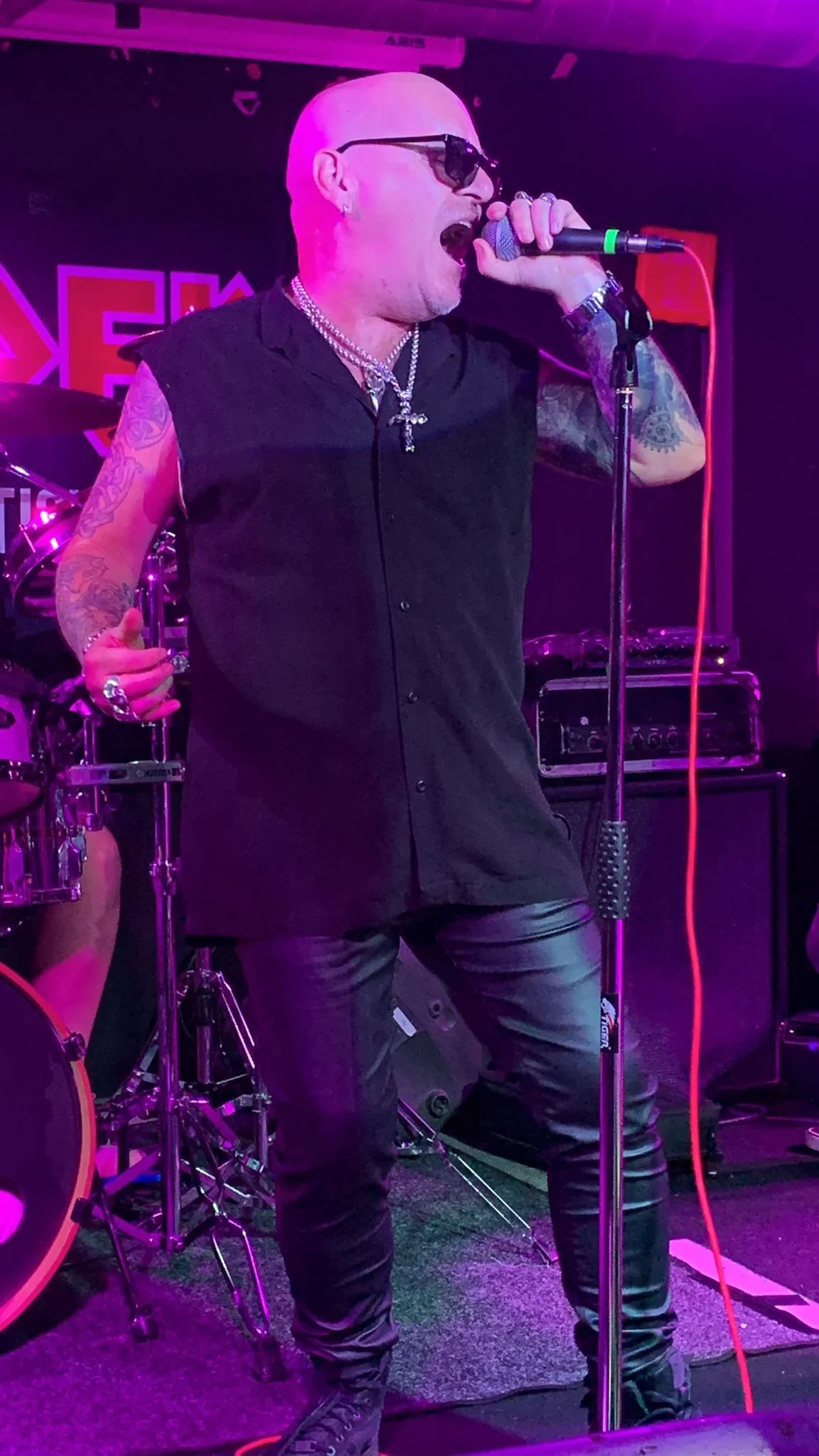 Cart and Horses Martin 2.jpg