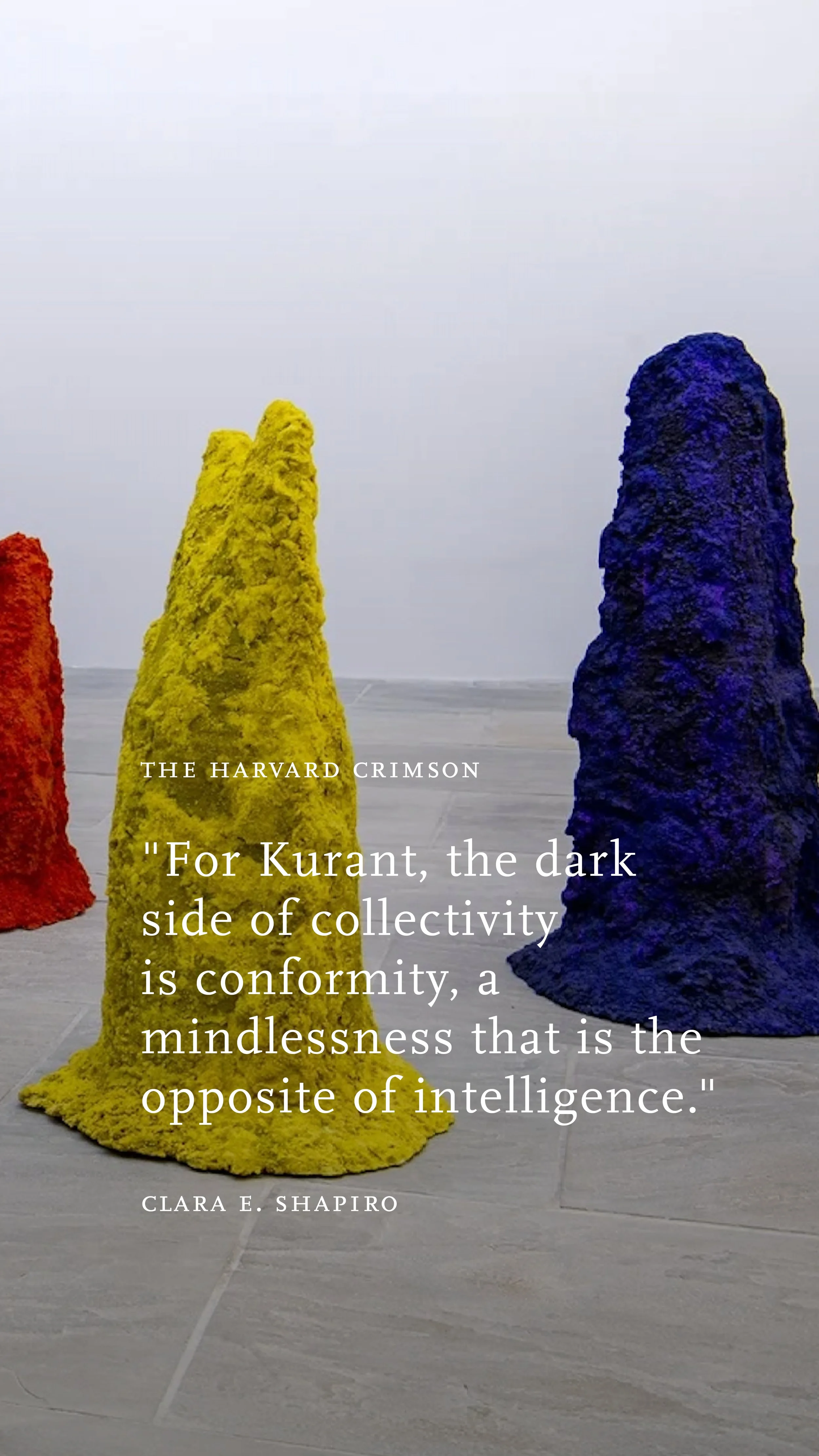 HarvardCrimson_Kurant2.jpg