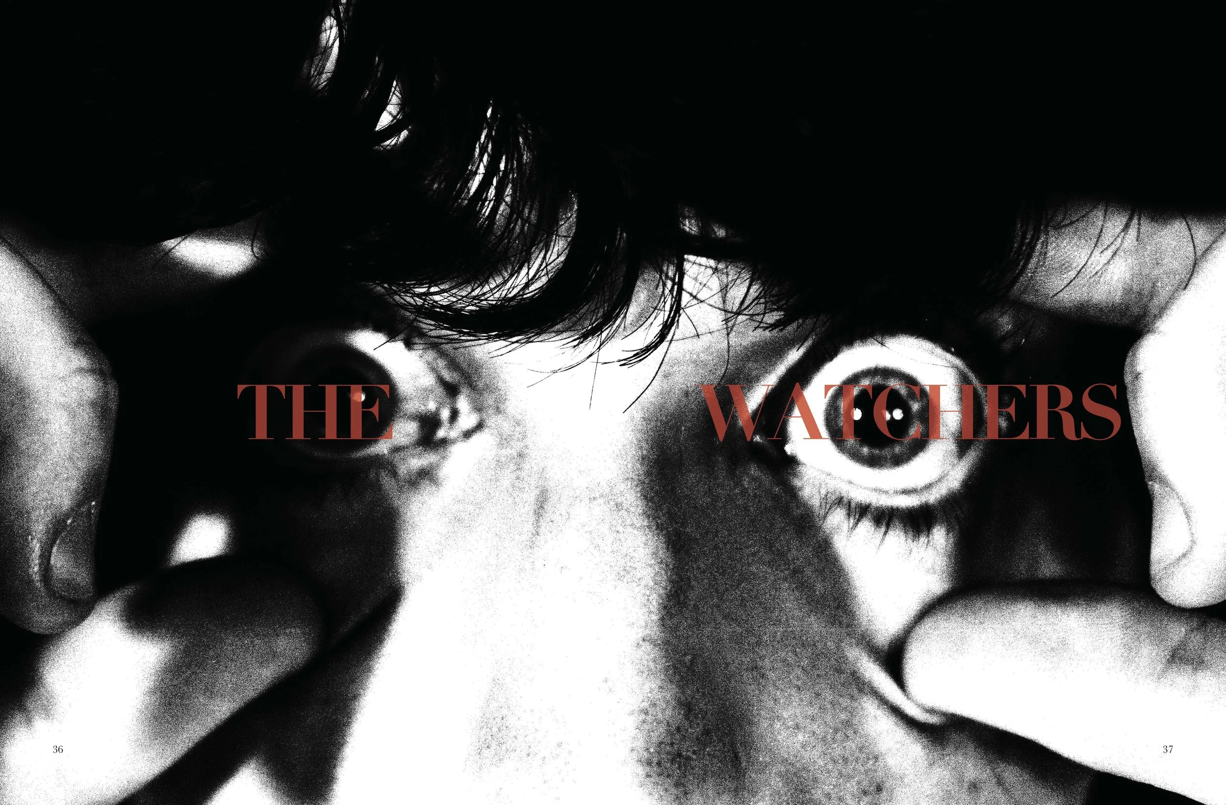 THE WATCHERS