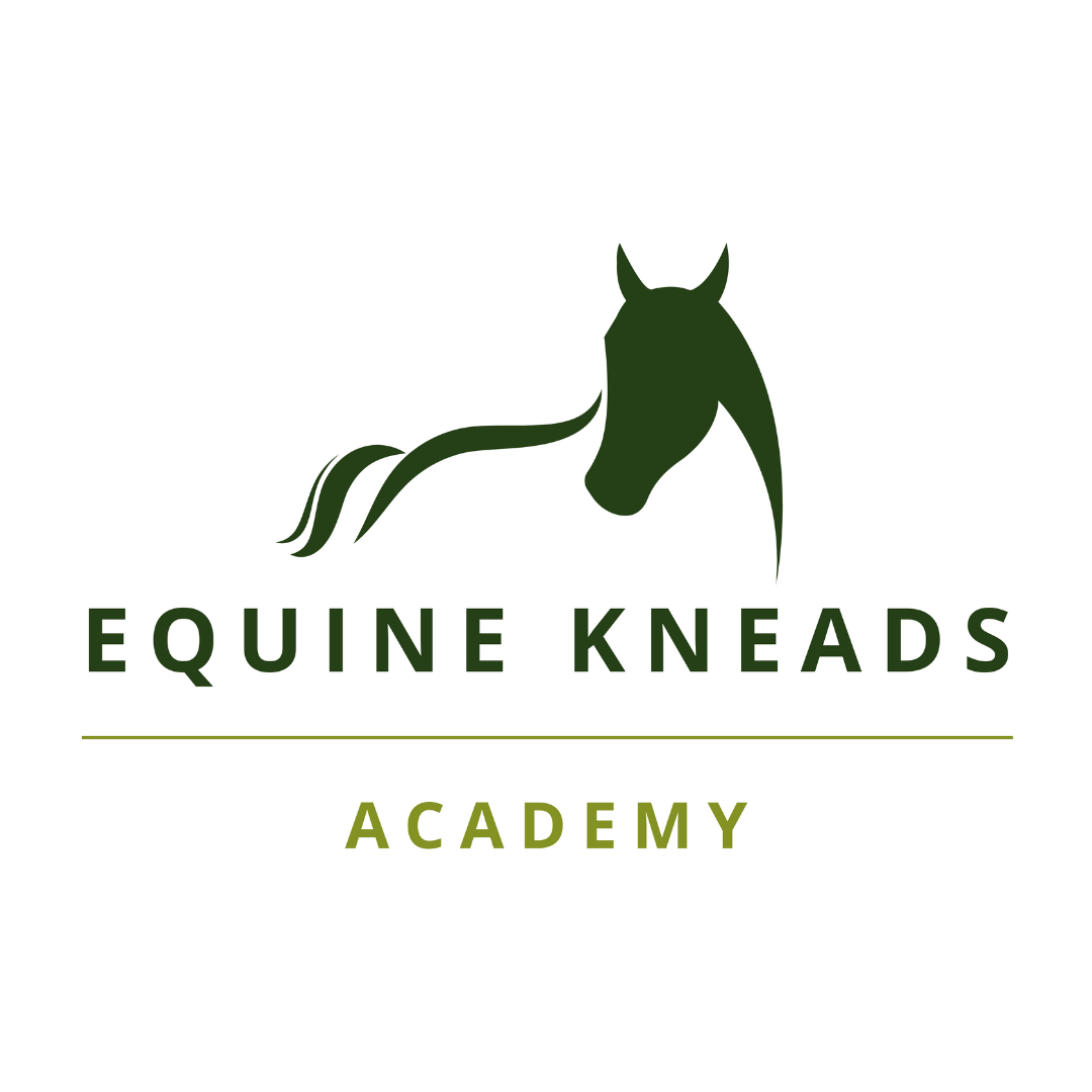 Equine Kneads
