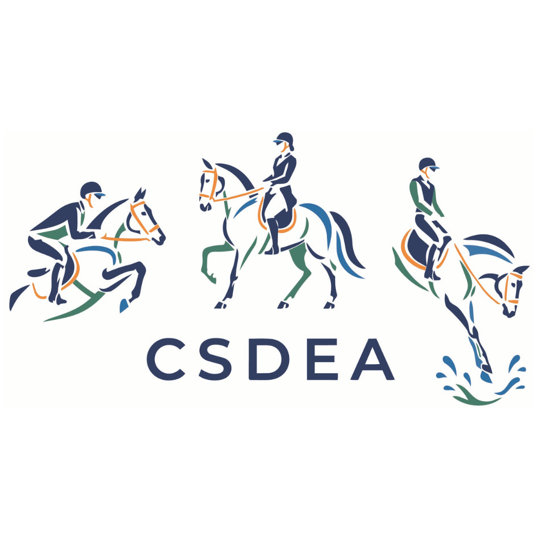 CSDEA