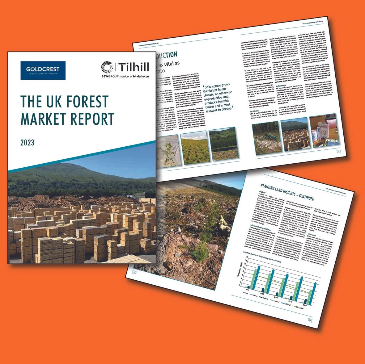 Firecrest Portfolio-5.jpg