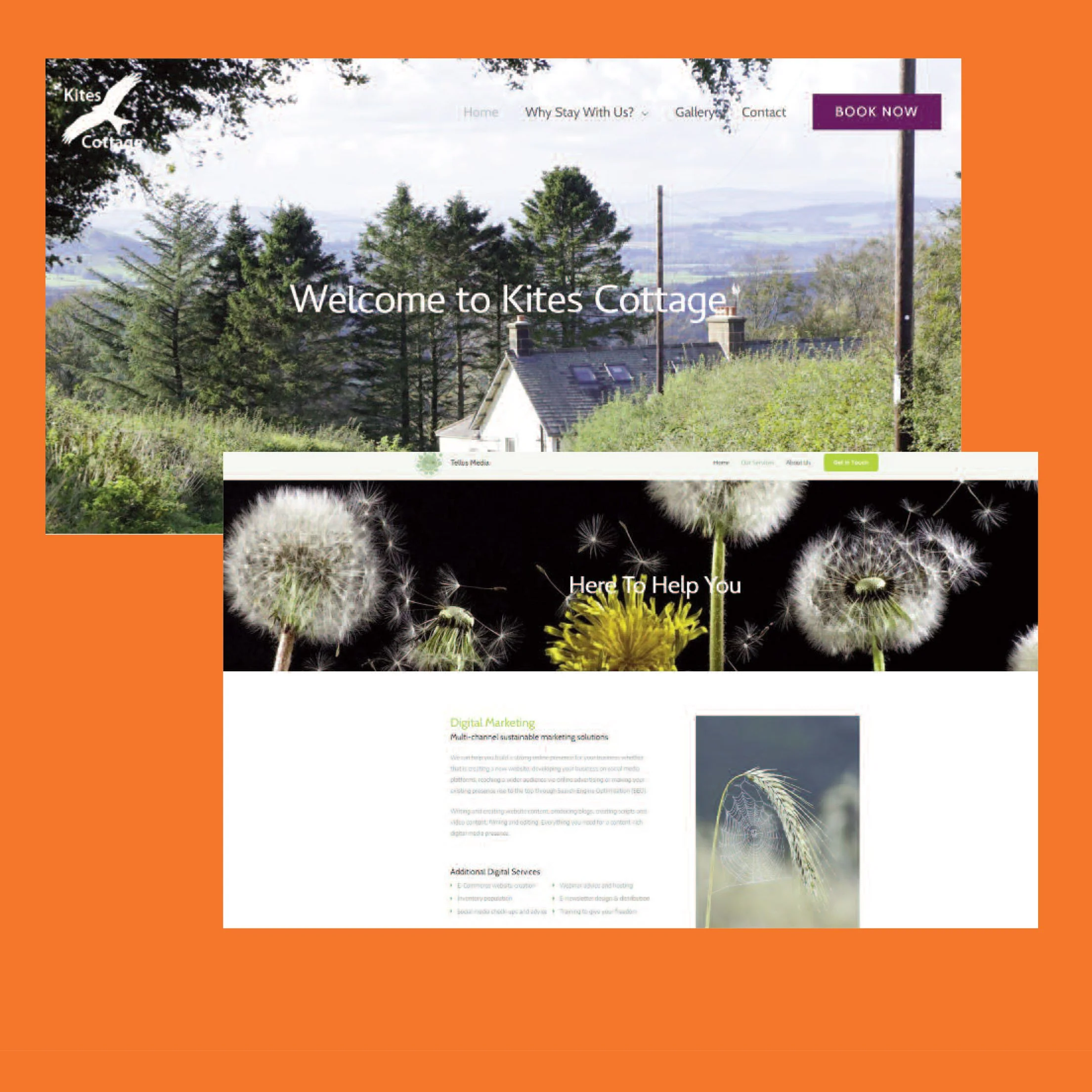 Firecrest Portfolio-13.jpg