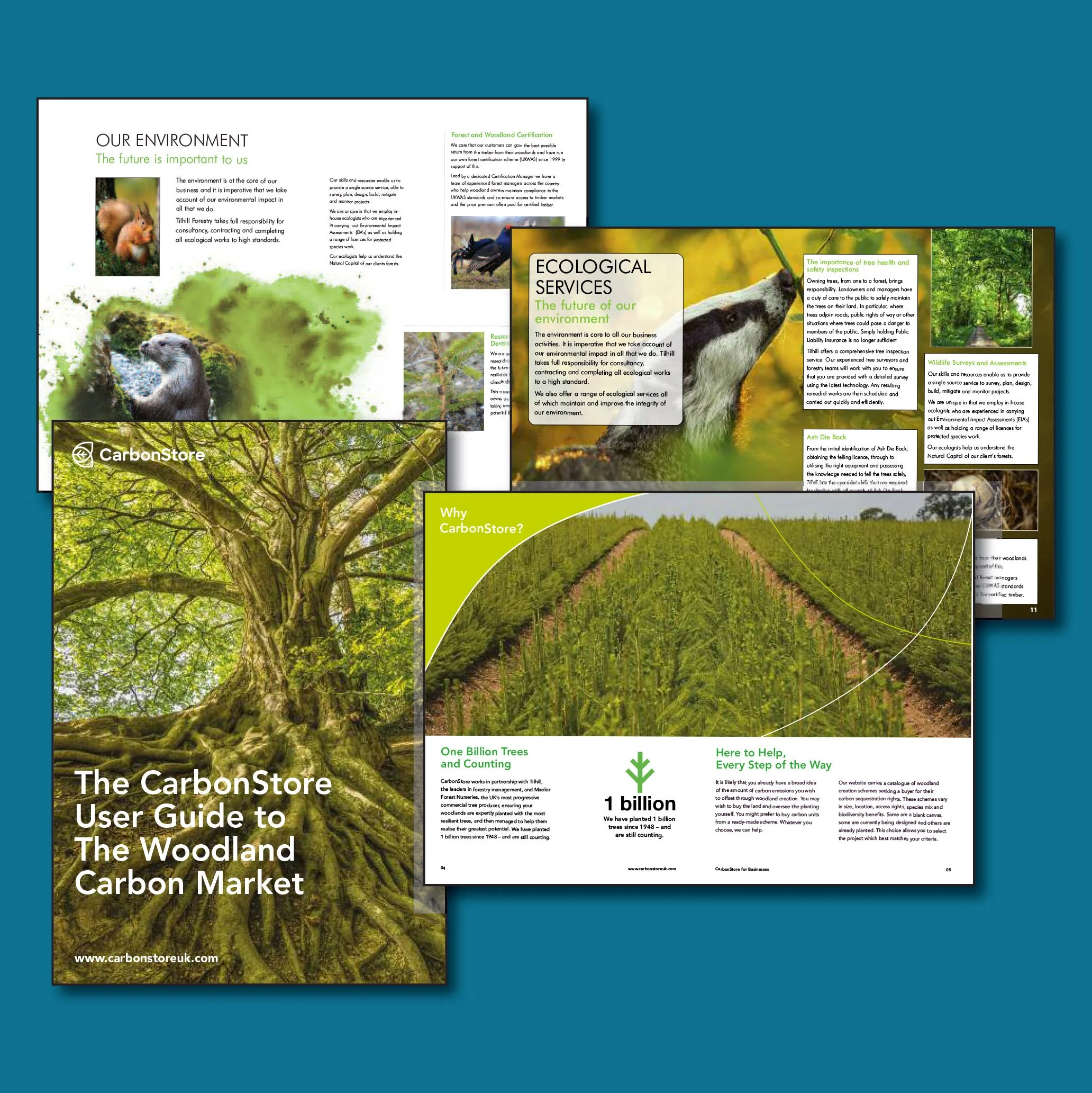 Firecrest Portfolio-8.jpg
