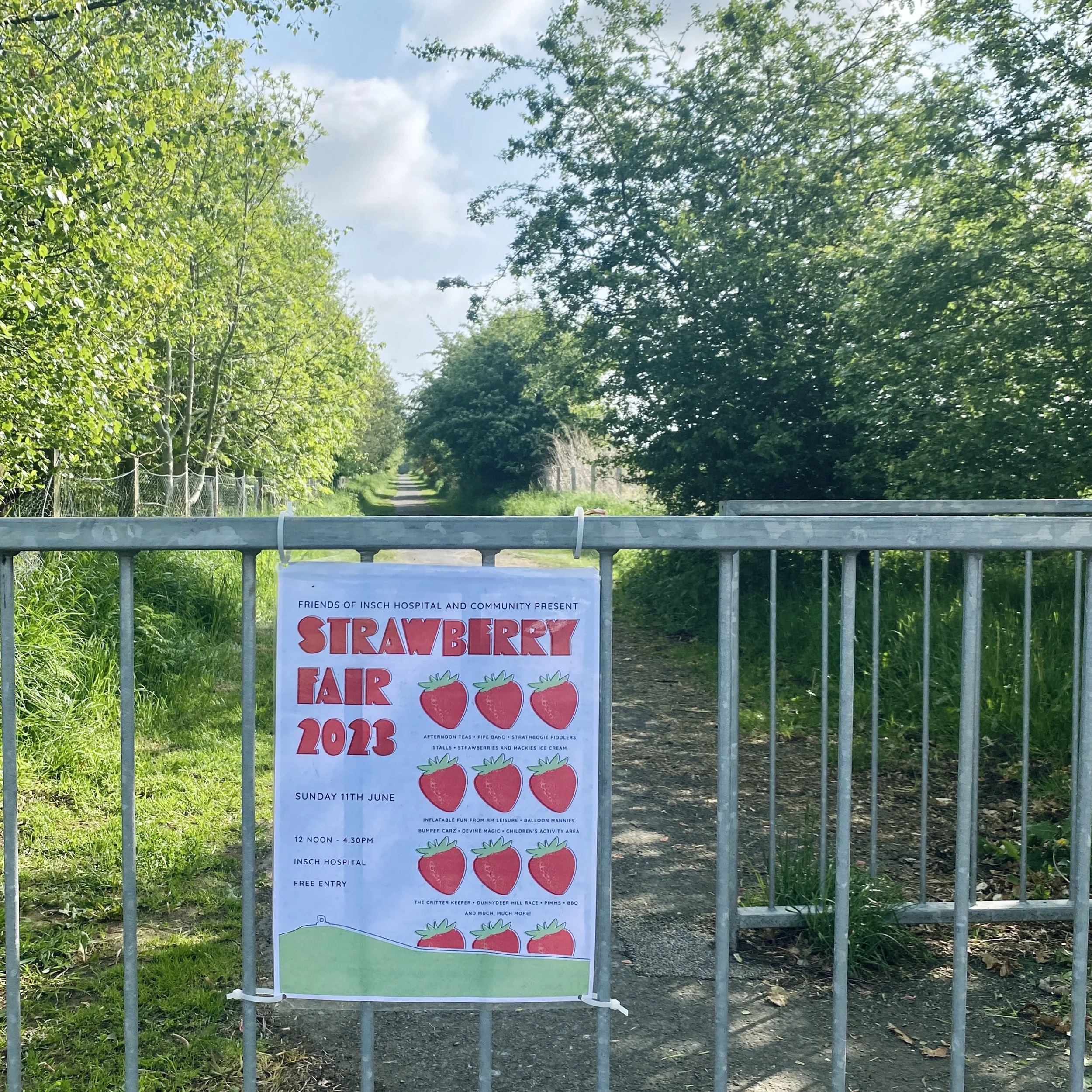 Strawberry Fair poster designed by Lisa Stewart