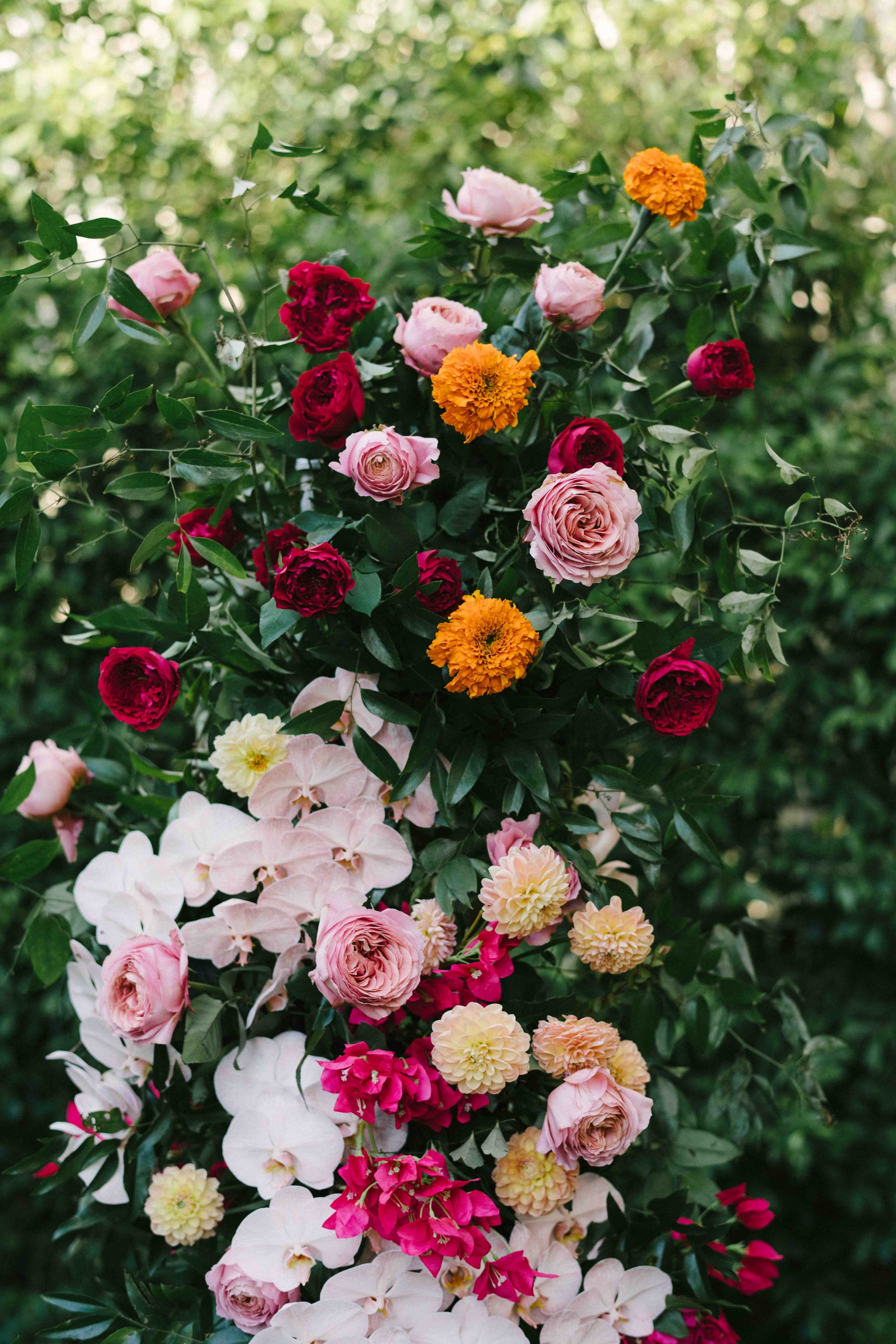 LexiAlWed-00798.jpg