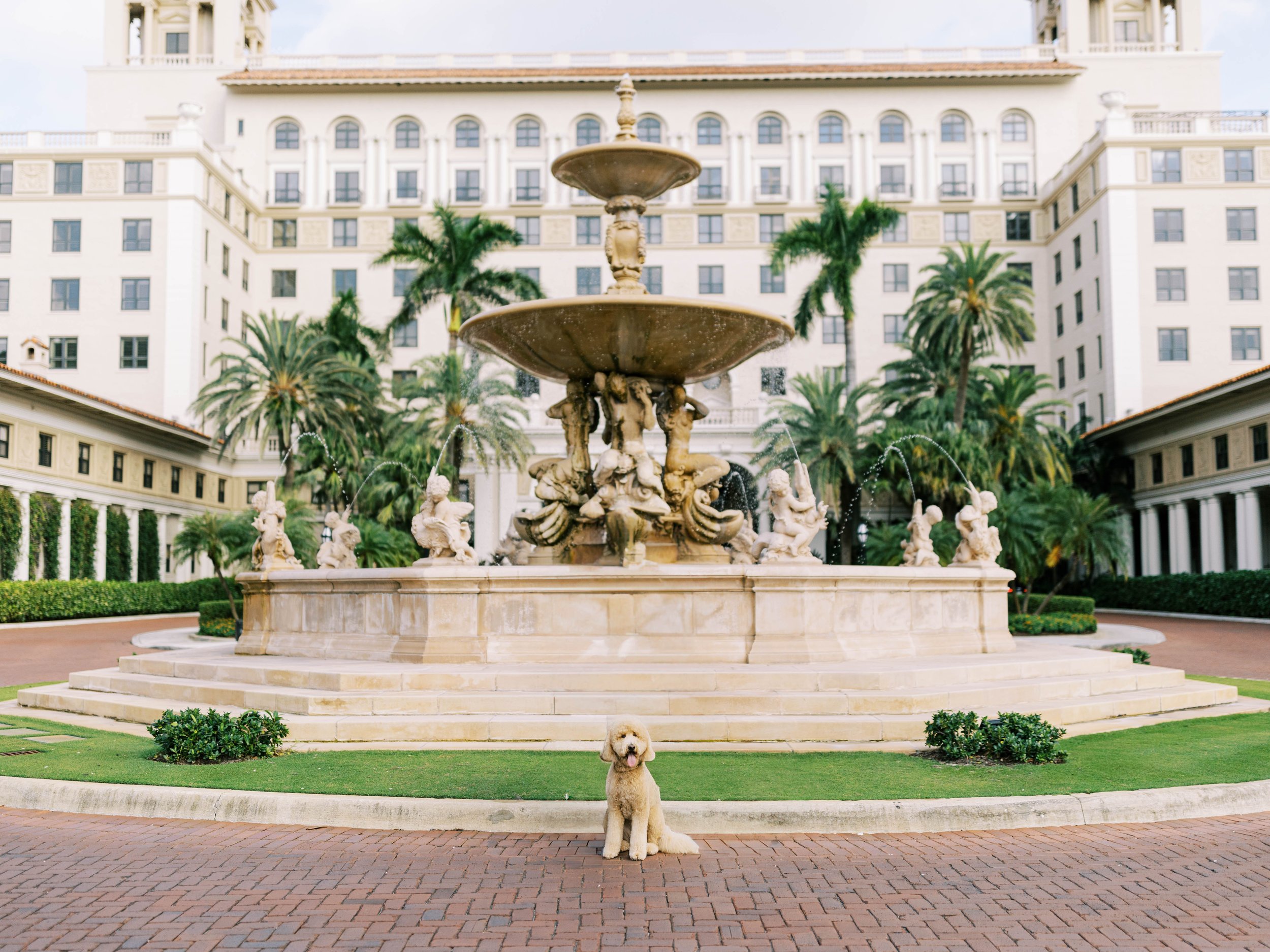 Jon & Angie - Previews - The Breakers, Palm Beach, Florida - Chrissy O'Neill & Co. - South Florida Wedding Photographer-34-Edit-2.jpg