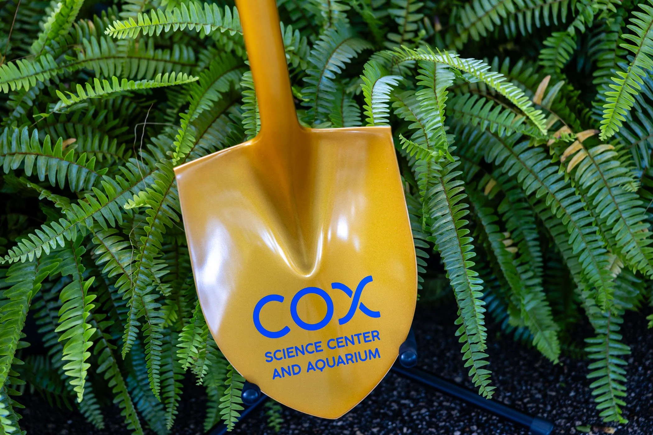 2024 Cox Science Center Ground Breaking