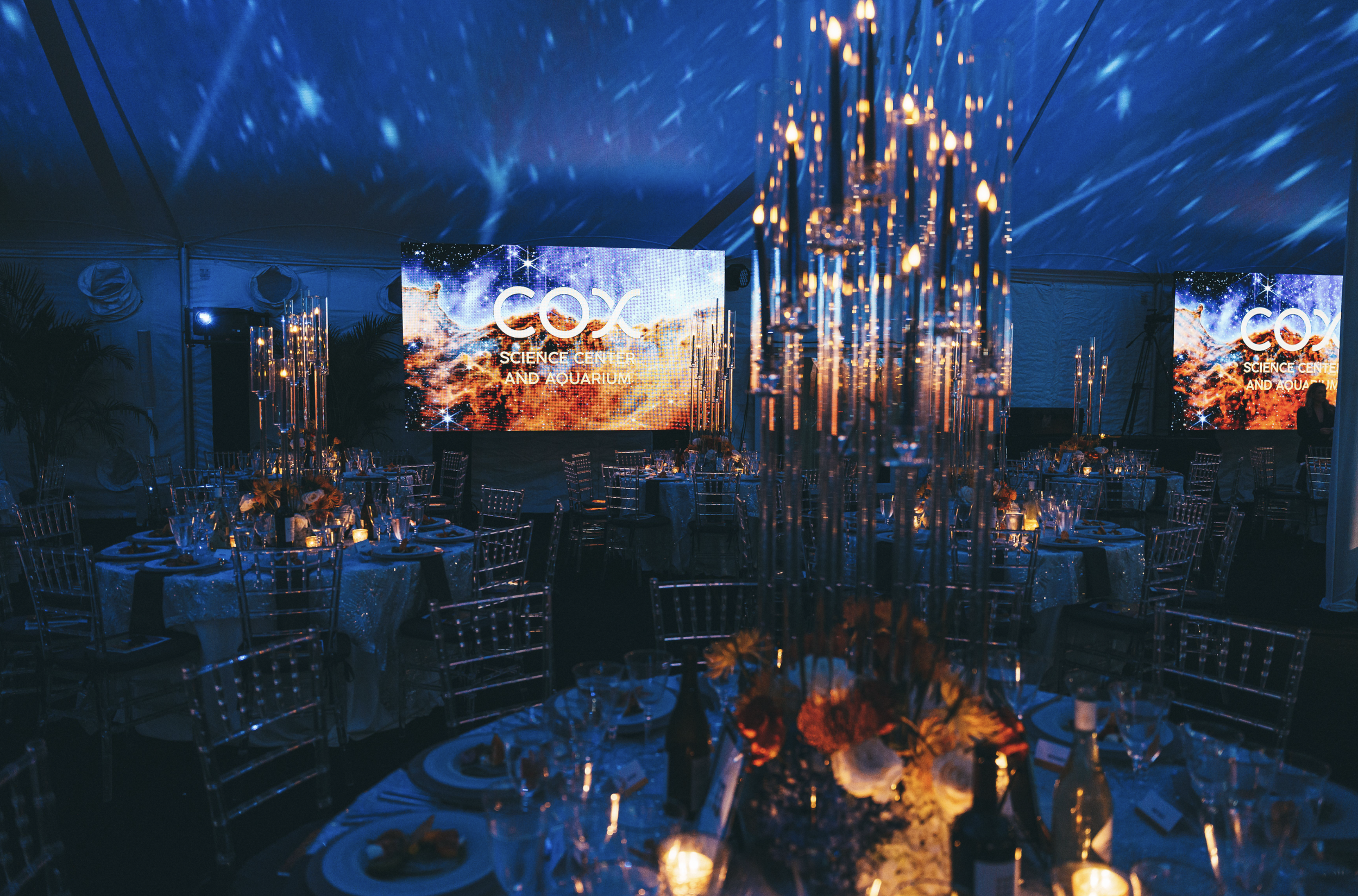 Non-profit Event Planner for the COX Science Center and Aquarium