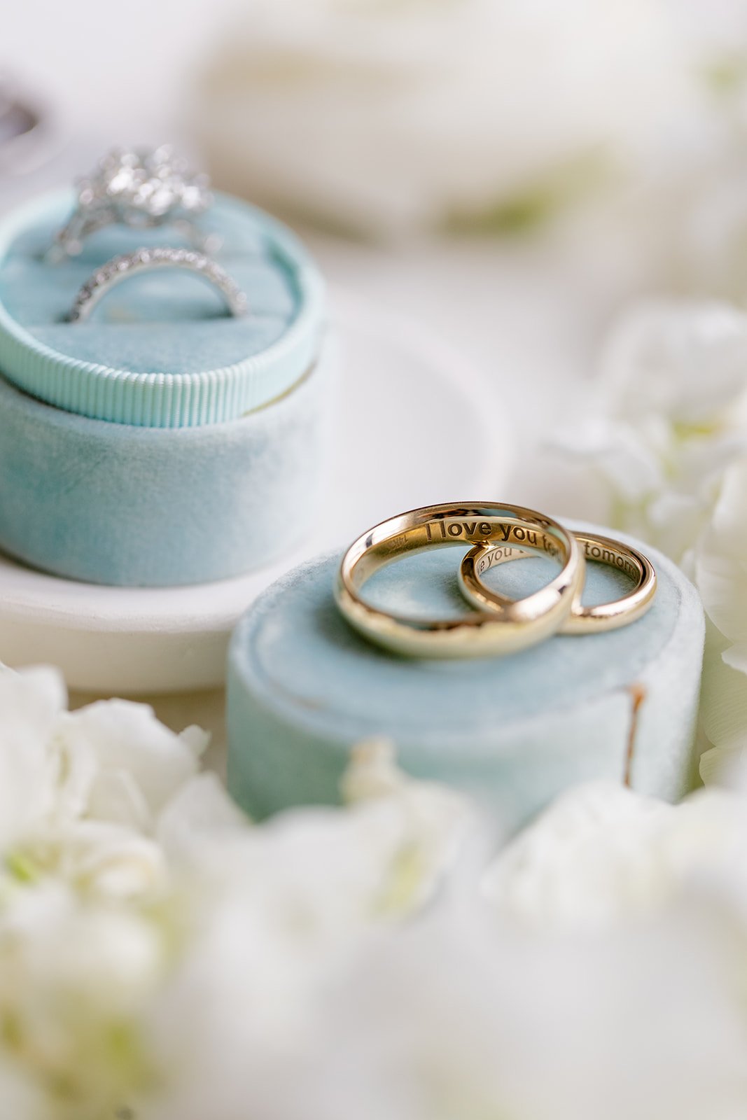 SunnyLeePhoto-17.jpg