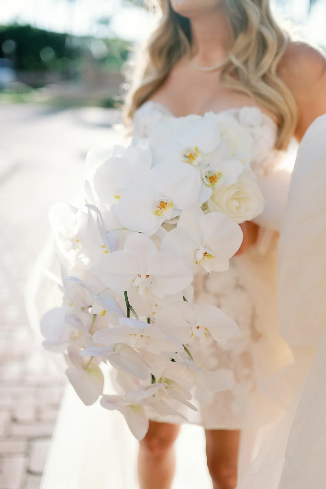SunnyLeePhoto-86.jpg