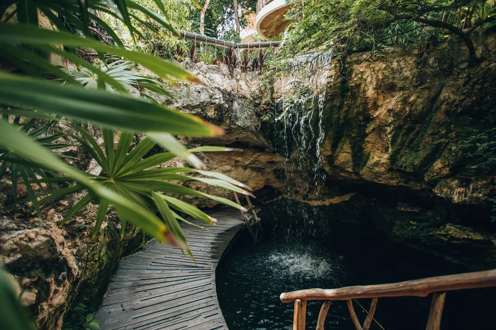 private cenote kan.webp