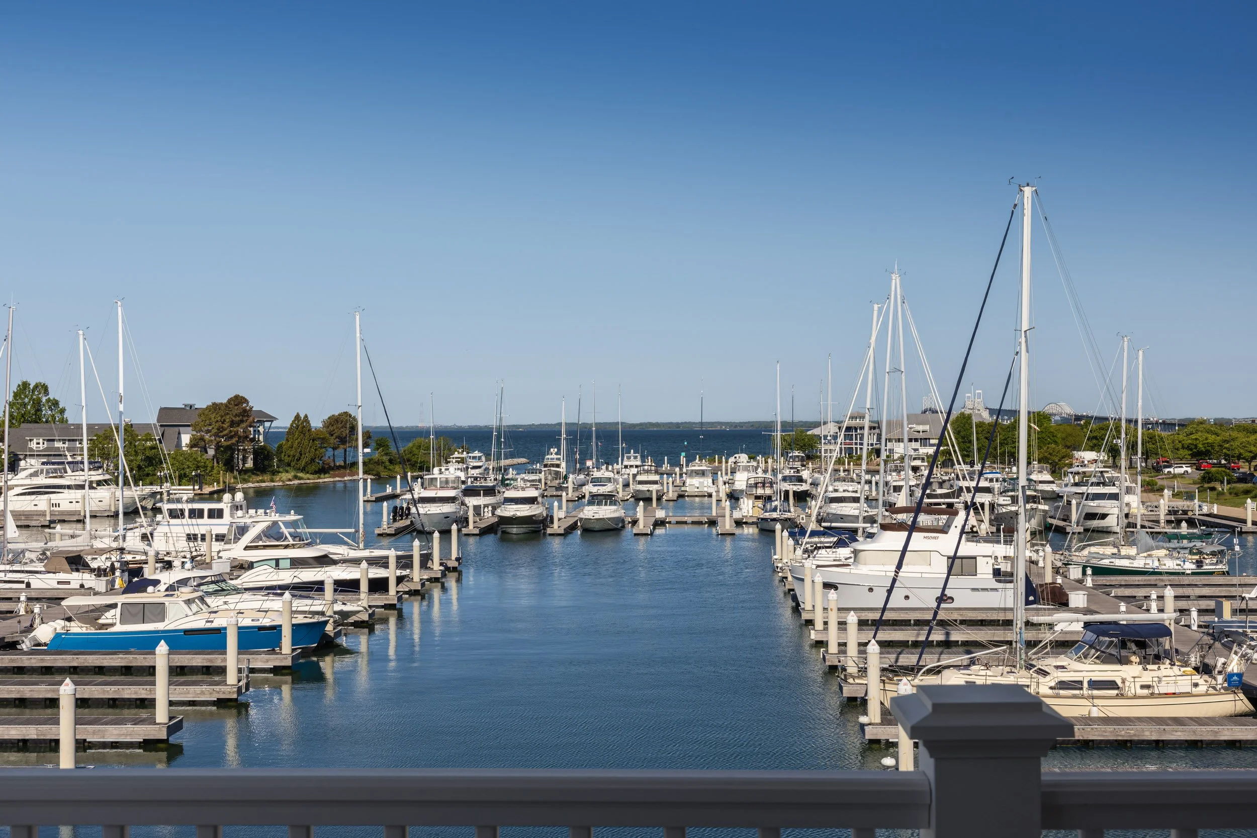Pro-Capture One 0302-Edit.jpg
