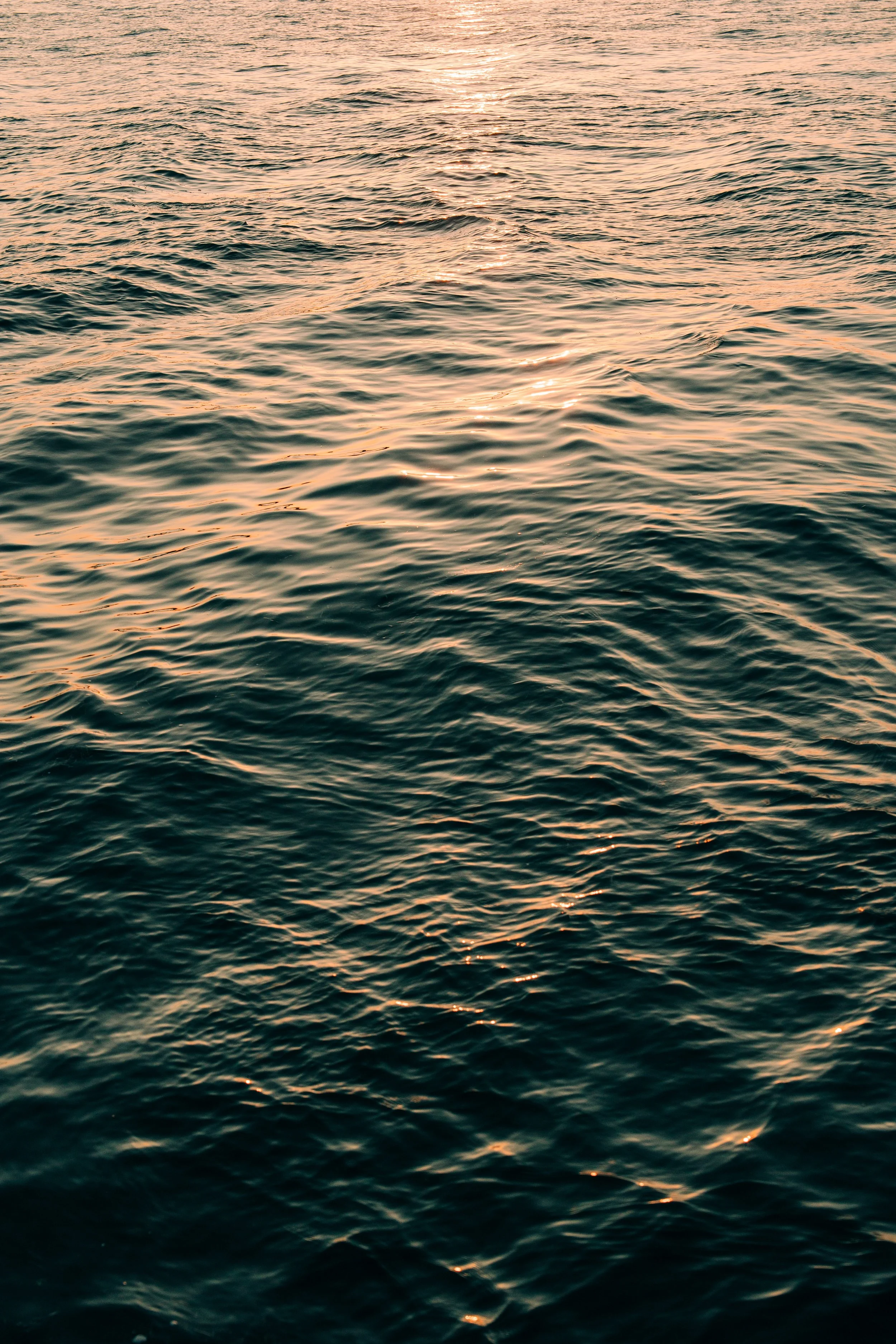 Pier_House_Hotel_&_Spa_Key_West_Dombaxe_Photography-229.jpg