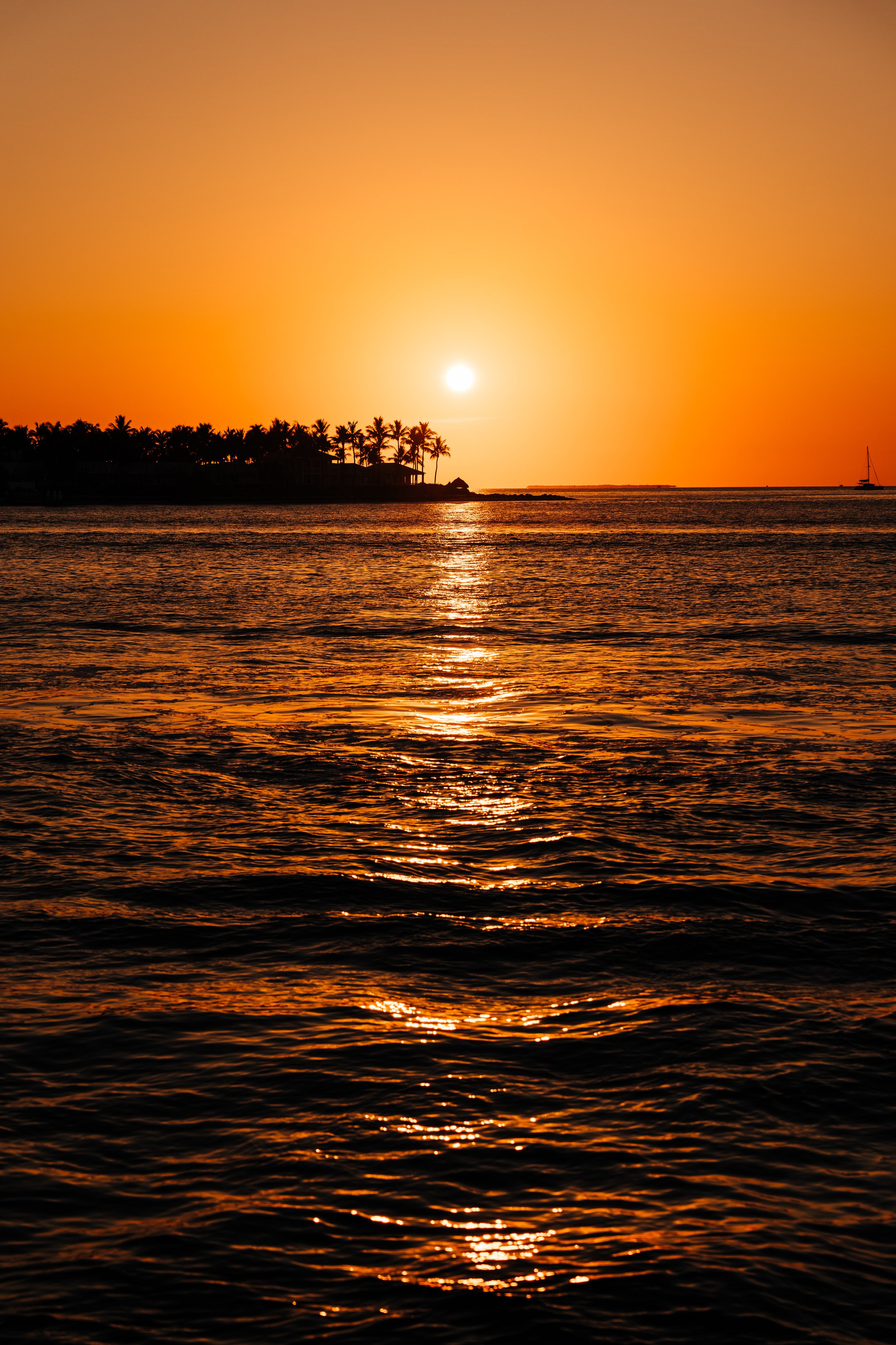 Pier_House_Hotel_&_Spa_Key_West_Dombaxe_Photography-227.jpg