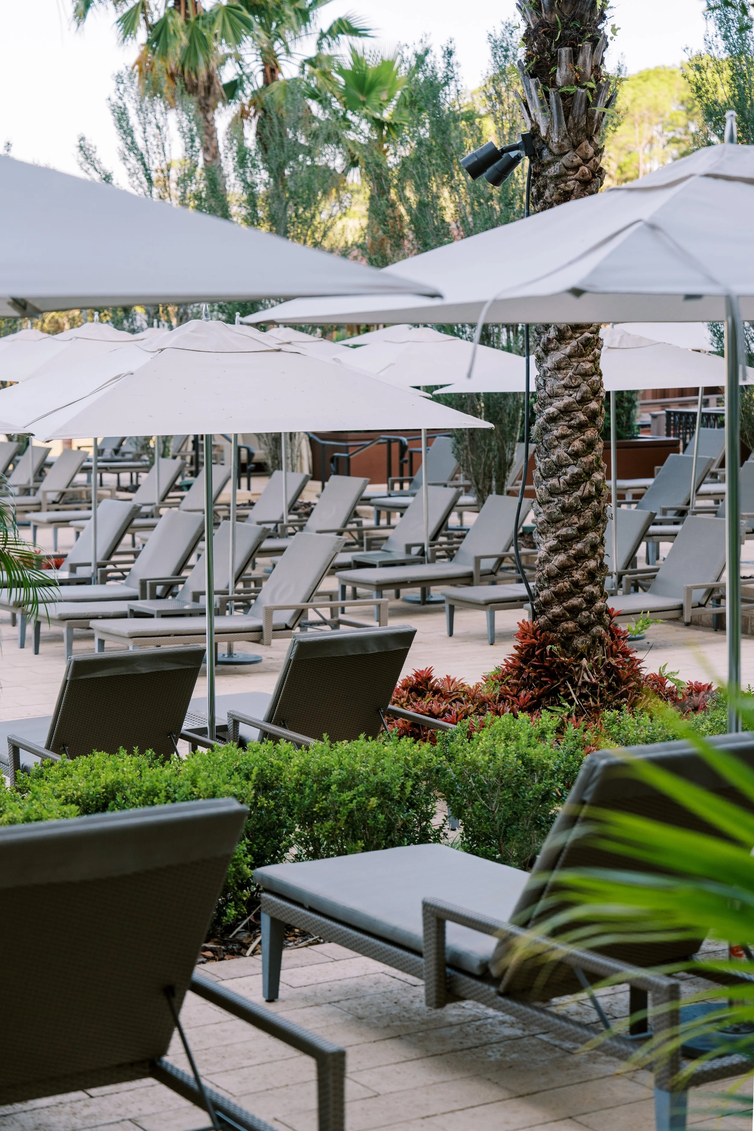 Four_ Seasons_Resort_Orlando_Walt_Disney_World_Dombaxe_Photography-123.jpg