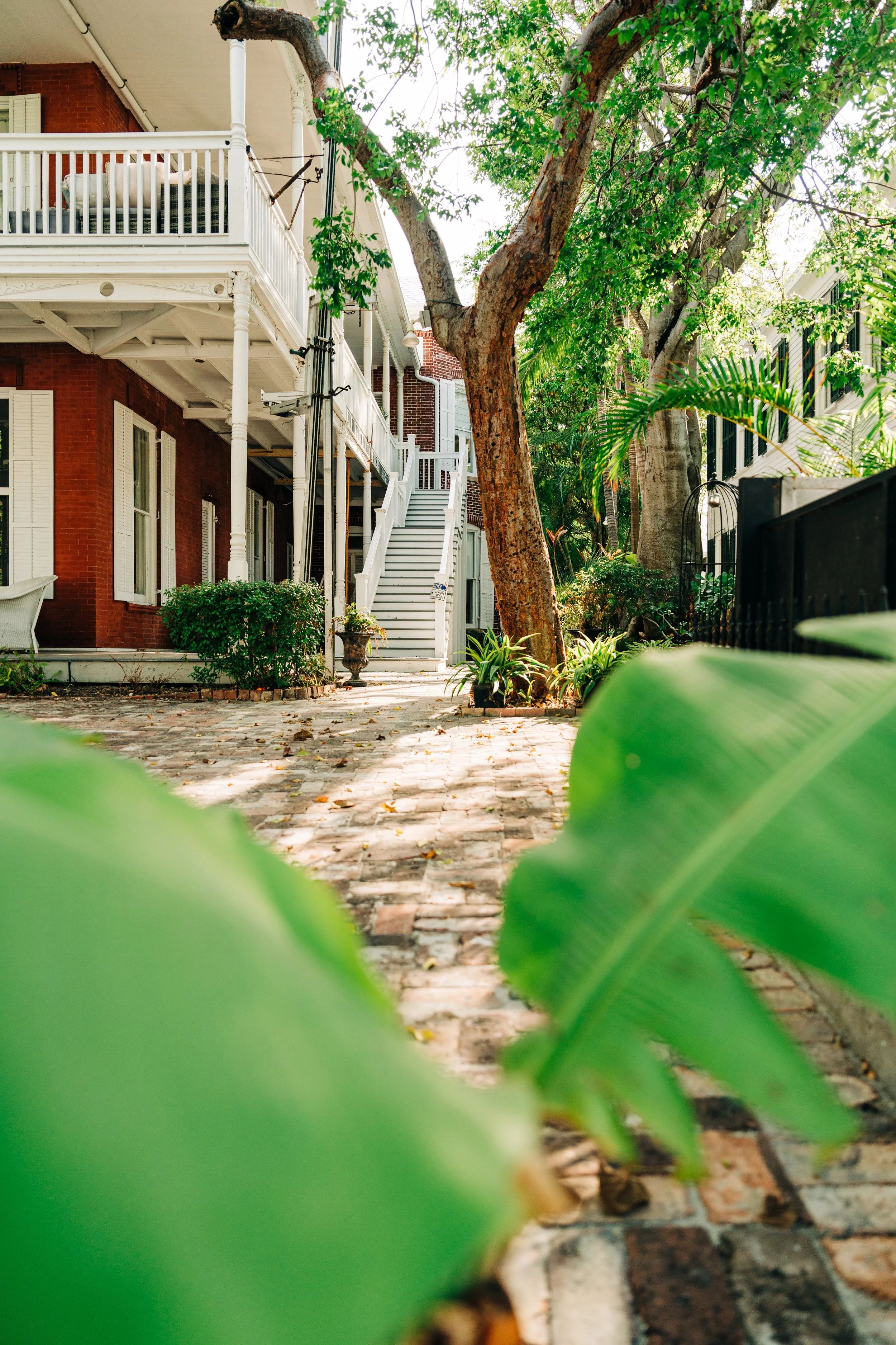 Pier_House_Hotel_&_Spa_Key_West_Dombaxe_Photography-259.jpg
