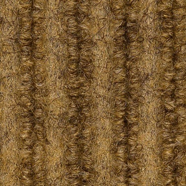 cerdo tan.jpg