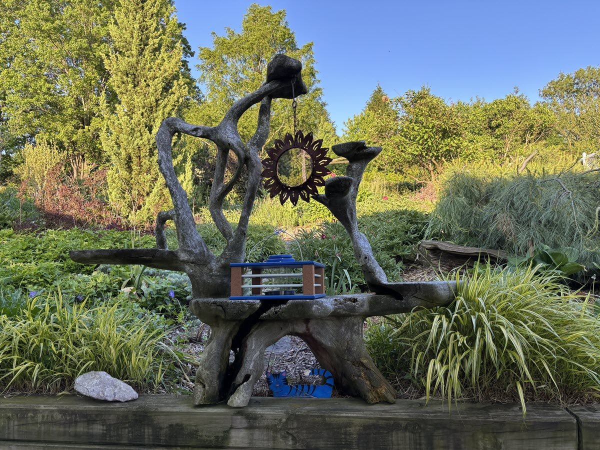 The McKees’ Avon Garden—May 2026